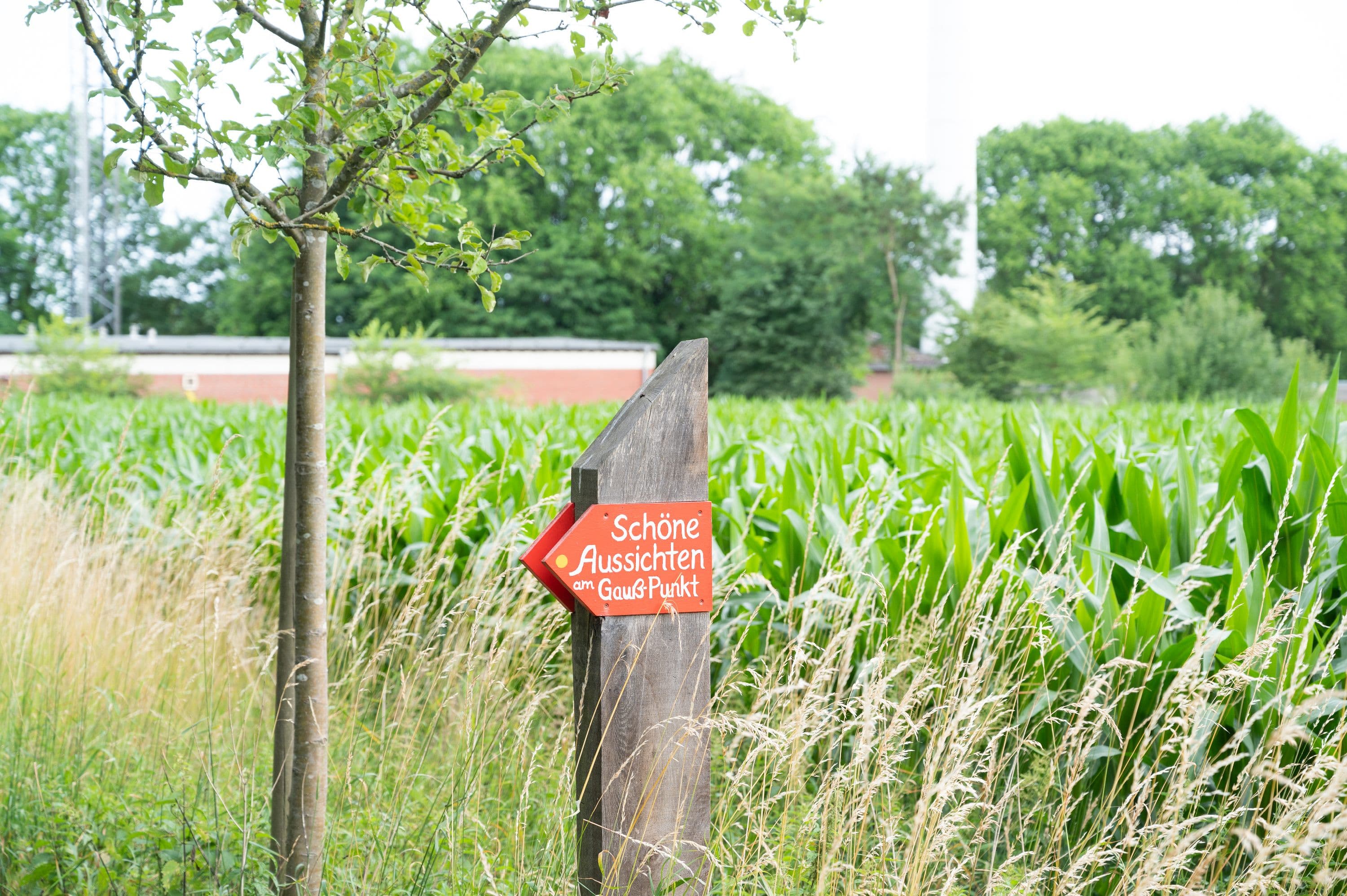 Wandern durch die abwechslungsreiche Landschaft der Südheide