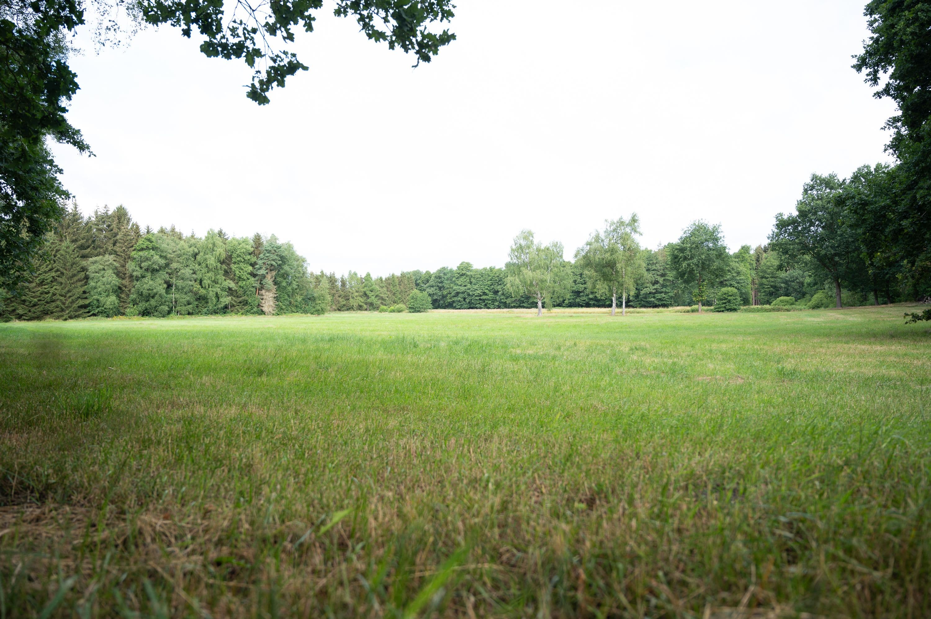 Wandern durch weite Feld- und Wiesenlandschaften in der Südheide