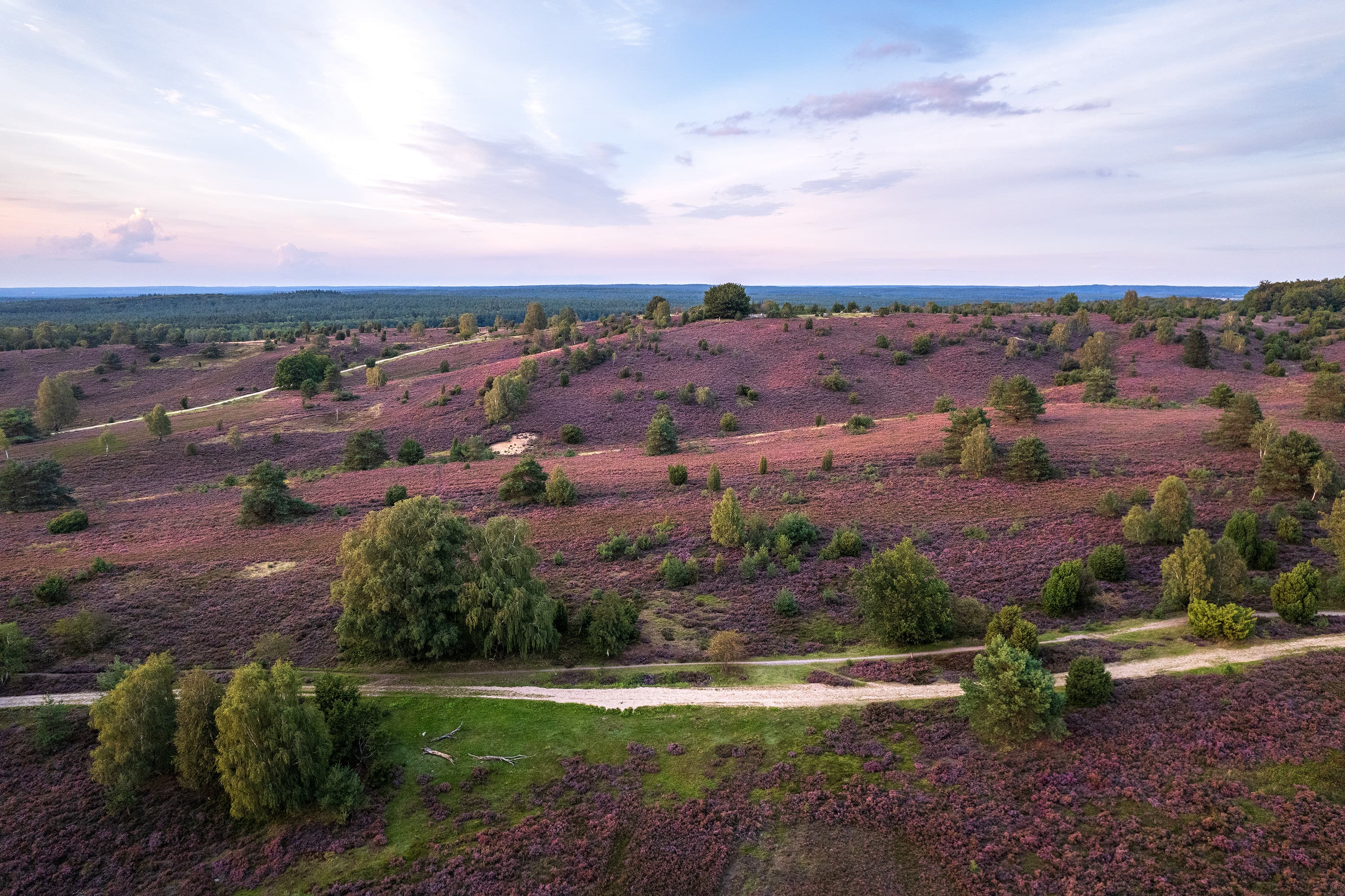 Der Bolterberg liegt gleich neben dem Wilseder Berg in der LÜneburger Heide