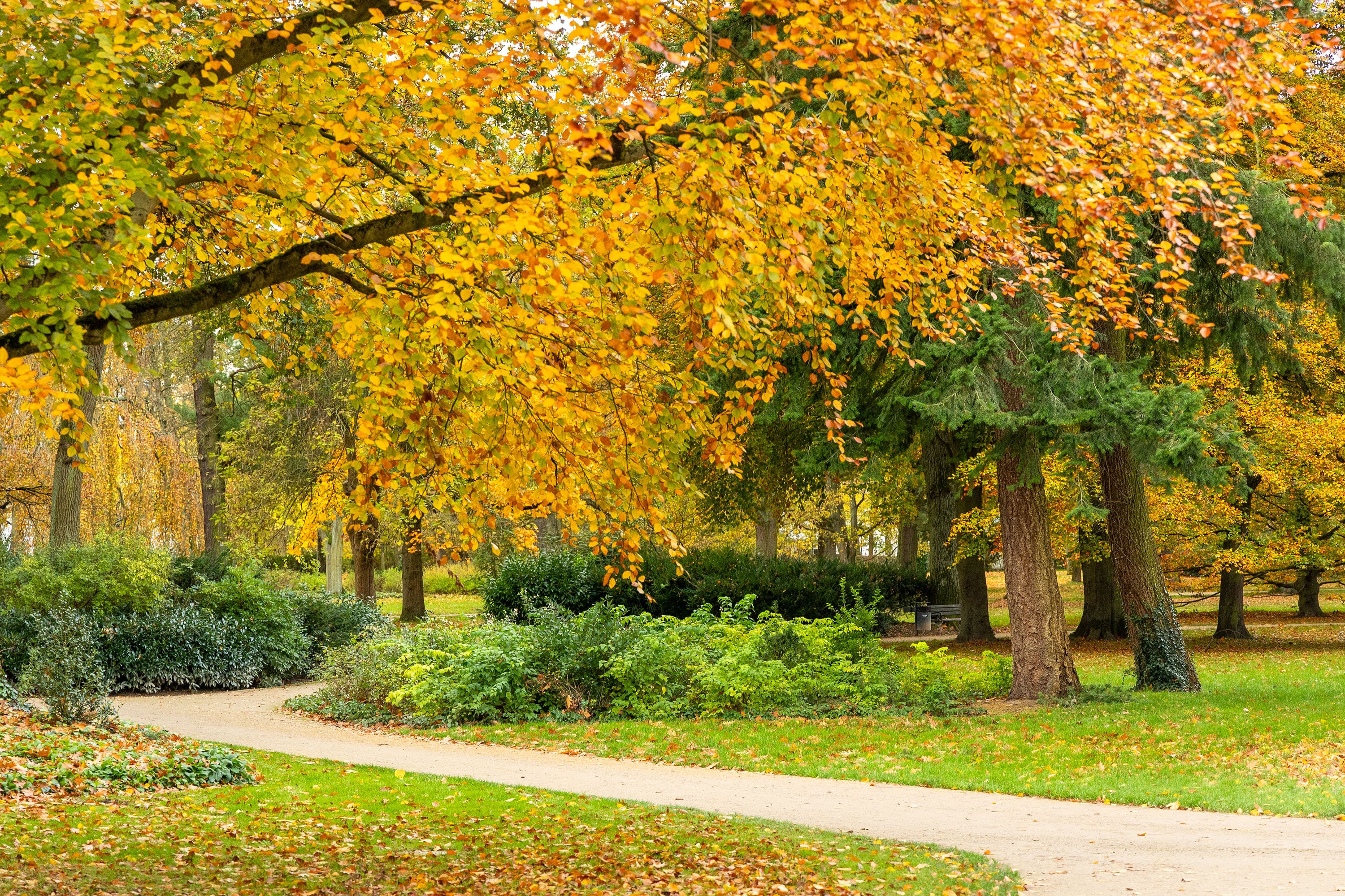 Celle Franzoesischer Garten Herbst
