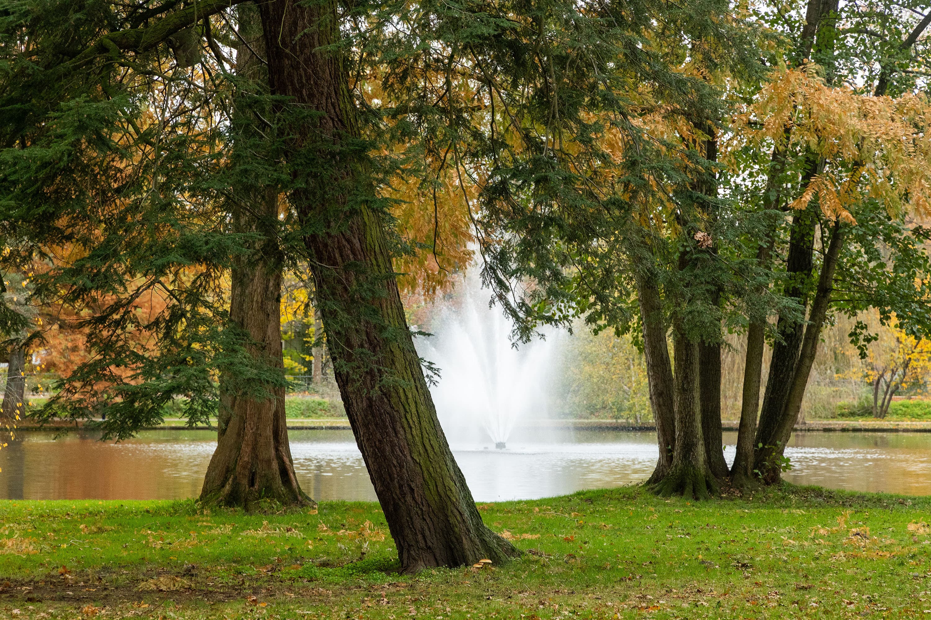 Celle Franzoesischer Garten Herbst