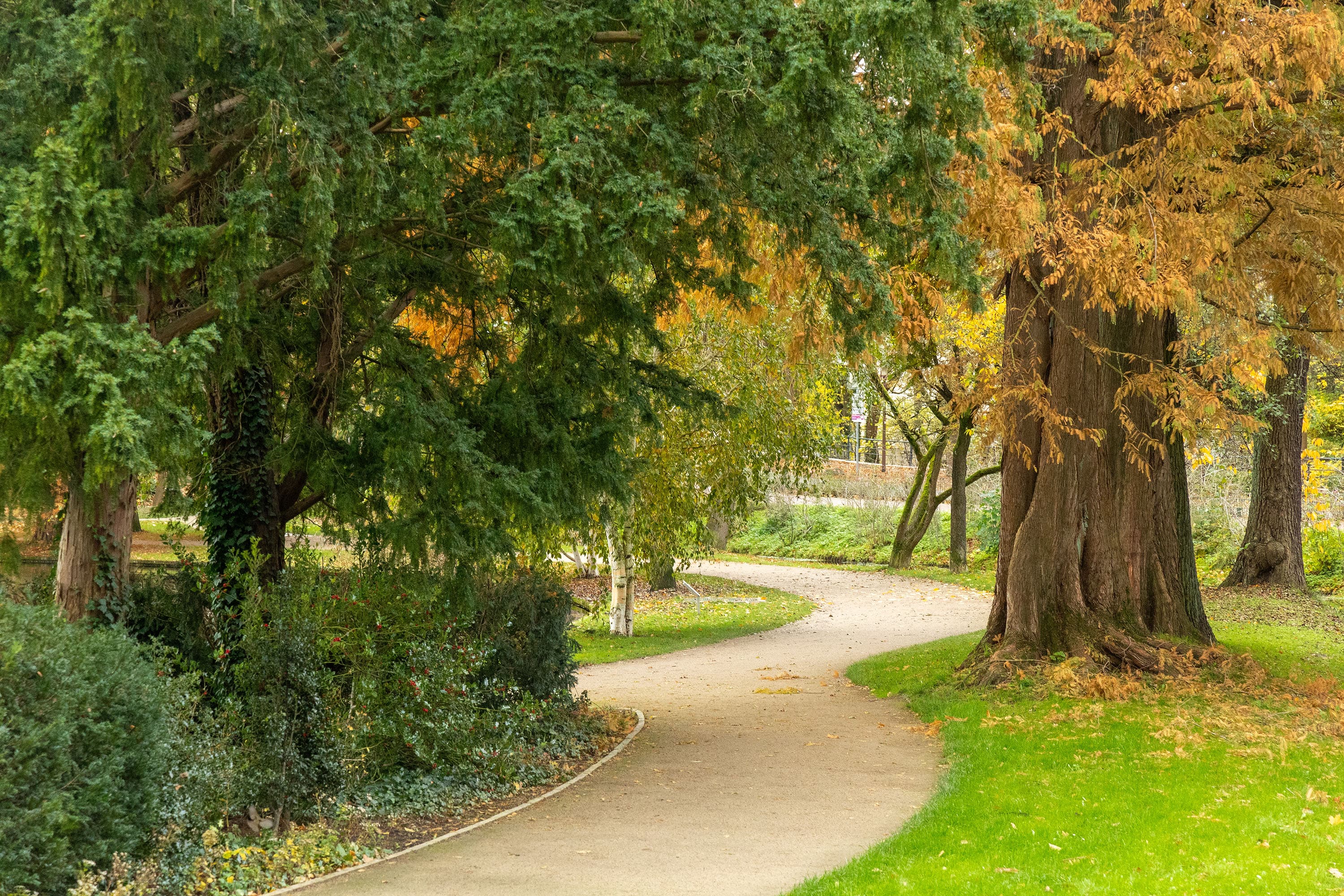 Celle Franzoesischer Garten Herbst