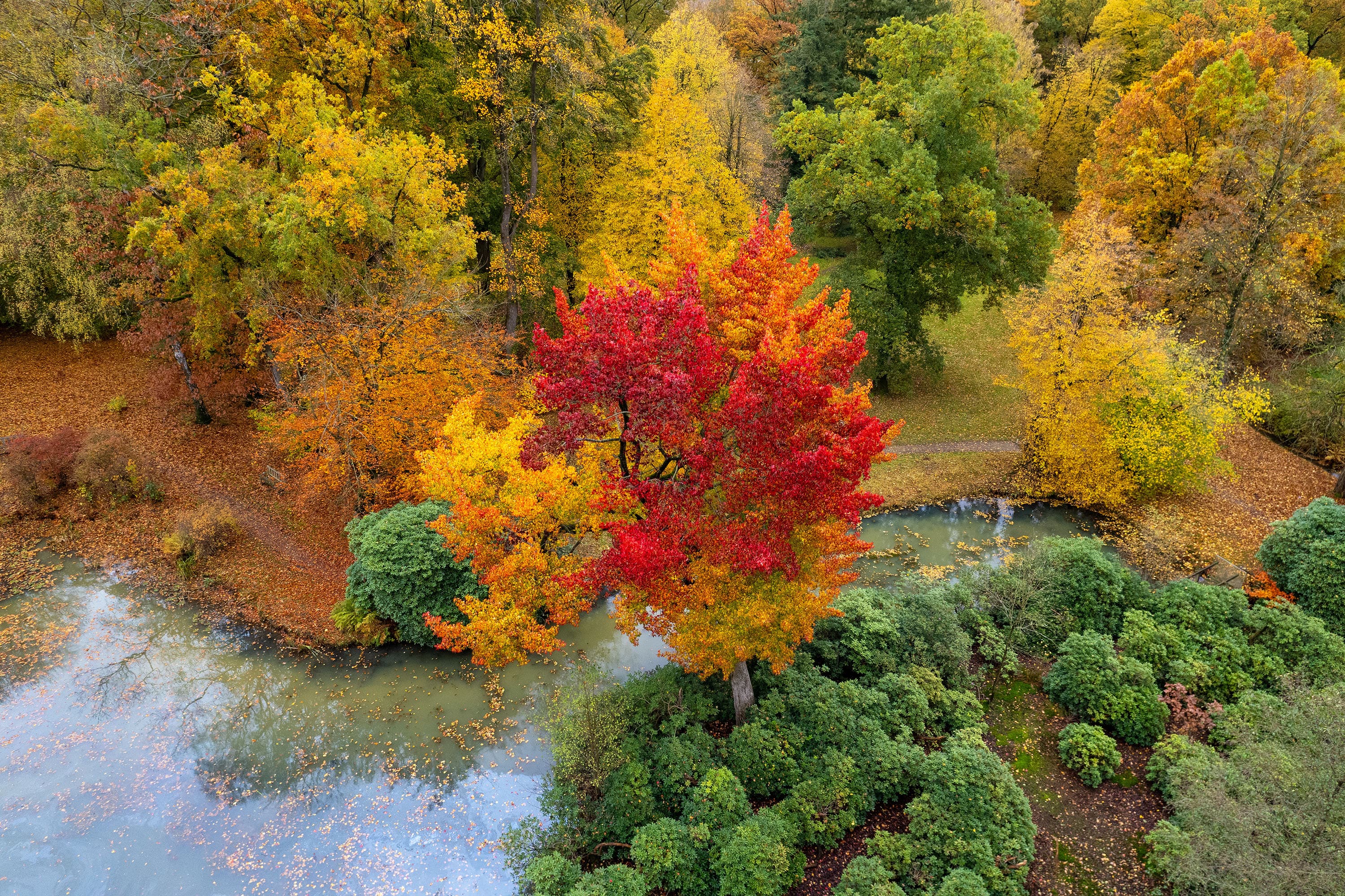 Der Breidings Garten in Soltau im bunten Herbstgewand
