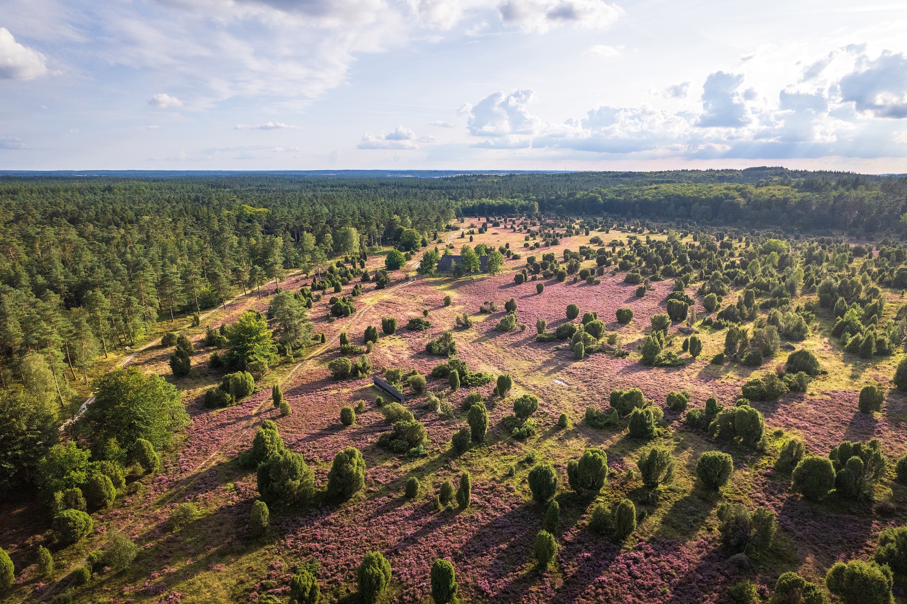 Luftbild vom Steingrund mit vielen Wacholdern
