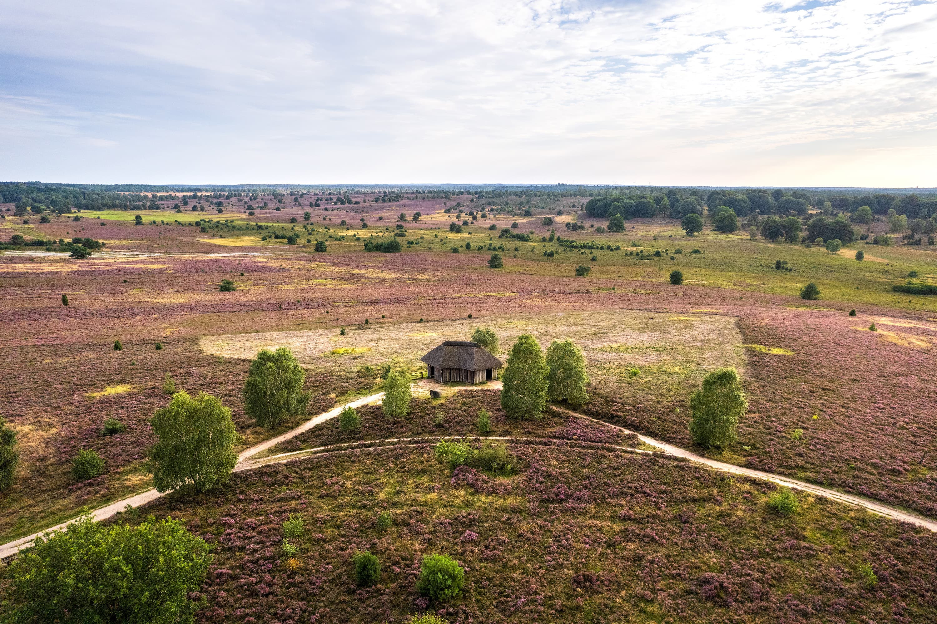Herrlicher Ausblick vom Suhorn zur Heideblüte