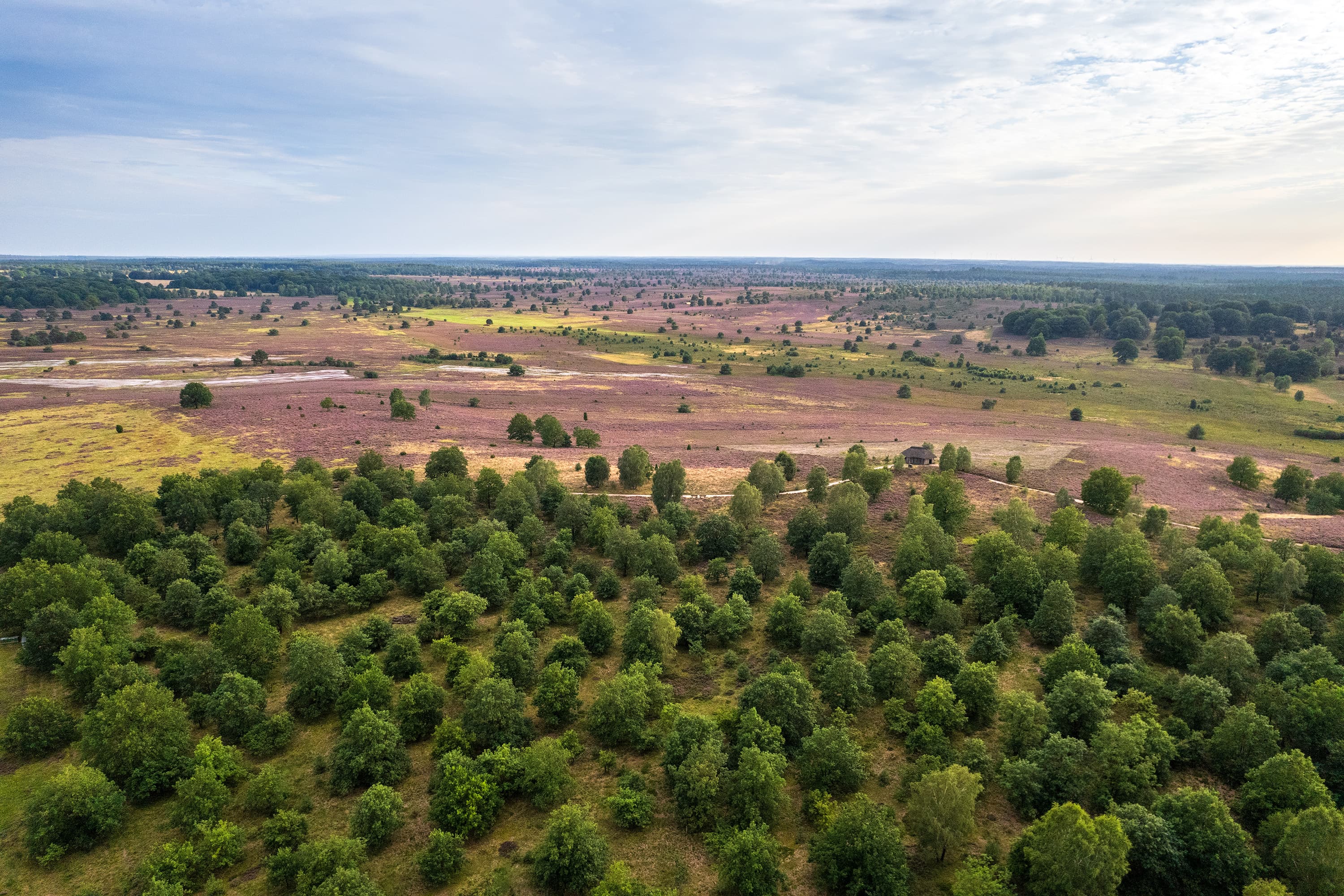 Beeindruckend weite Heidelandschaft am Suhorn