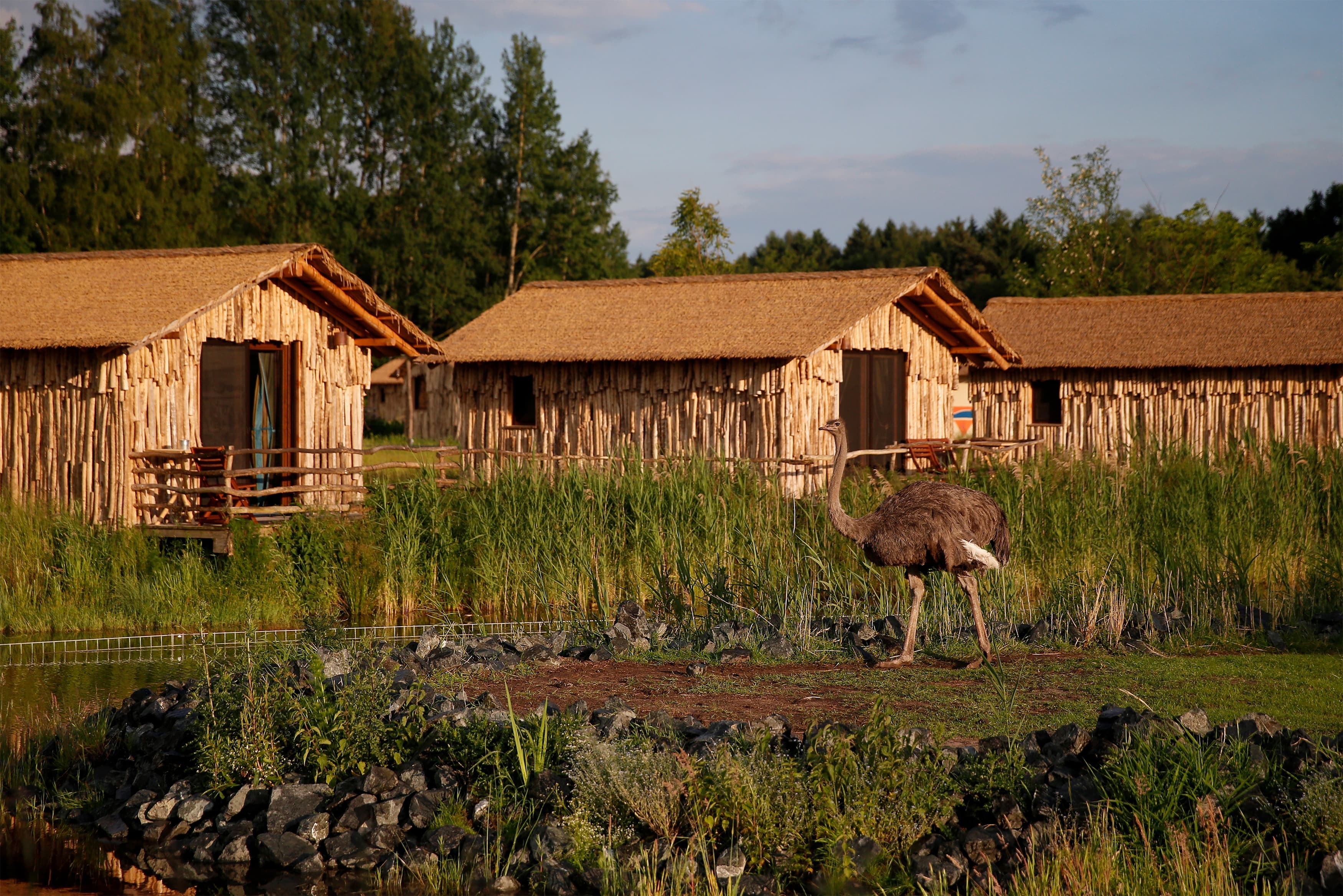 Blick auf die Lodges zum Übernachten im Serengeti Park