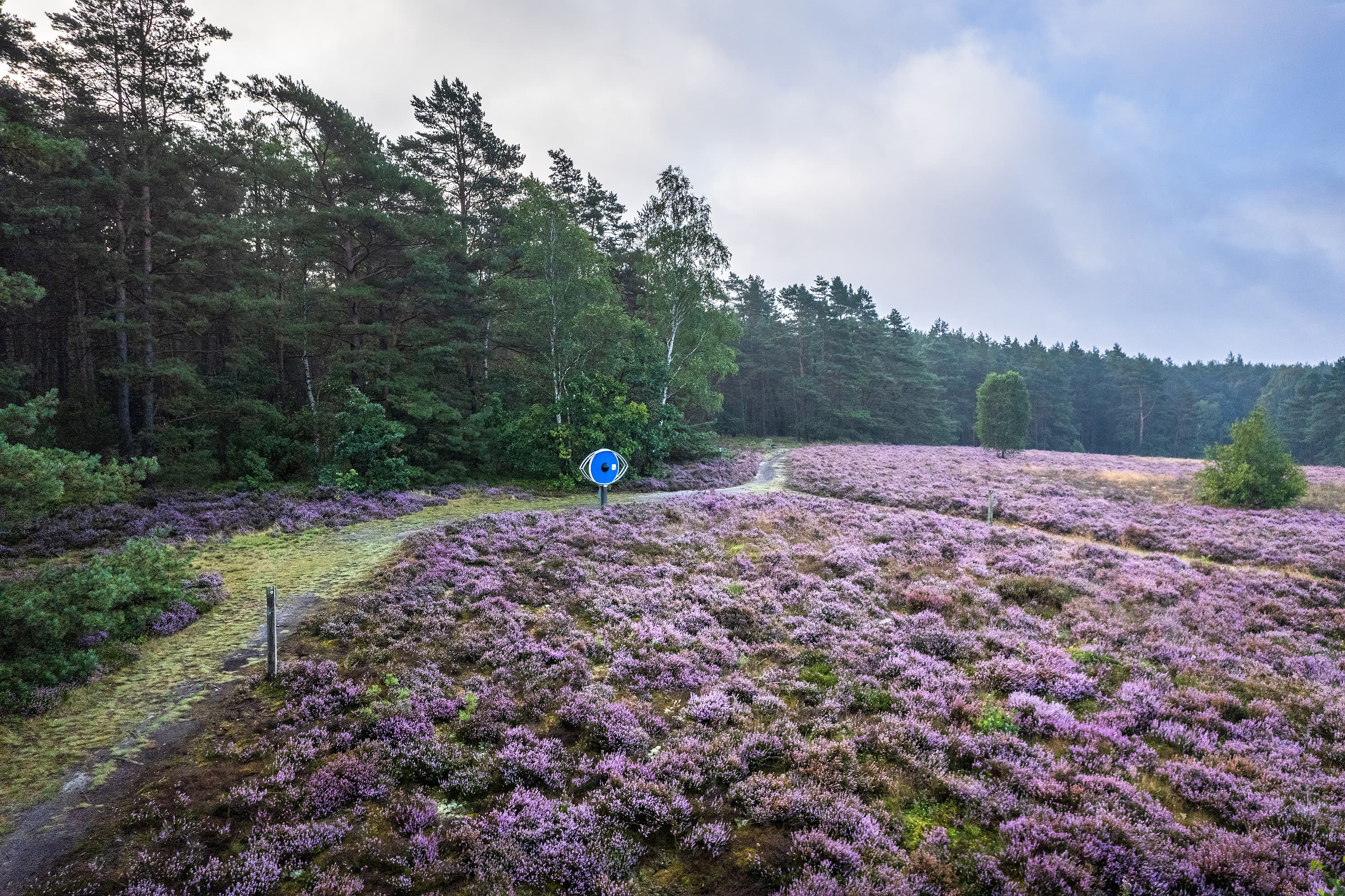 Wandern auf dem Heideerlebnispfad Schillohsberg