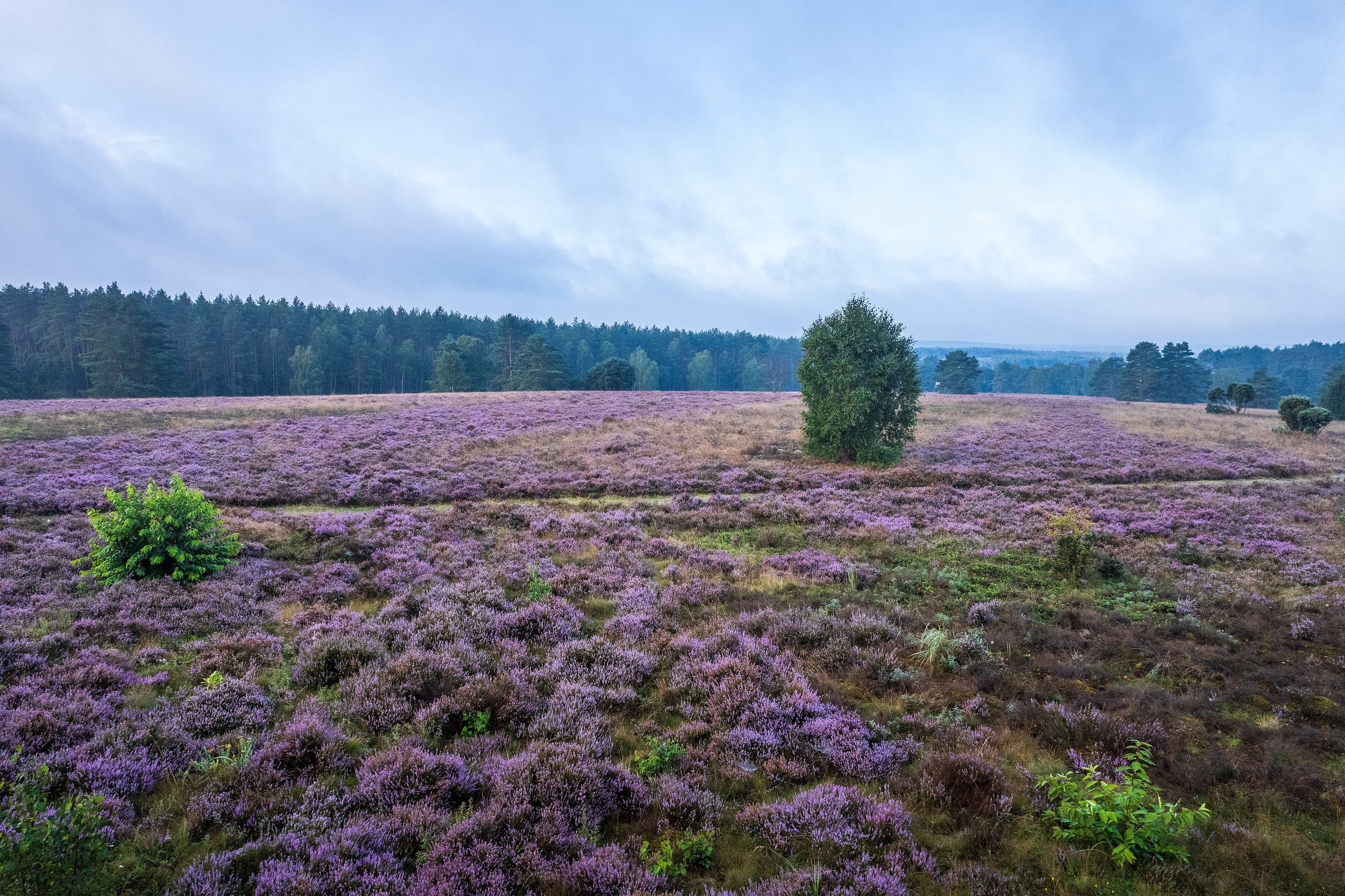 Beim Wandern offenbart sich ein herrlicher Weitblick