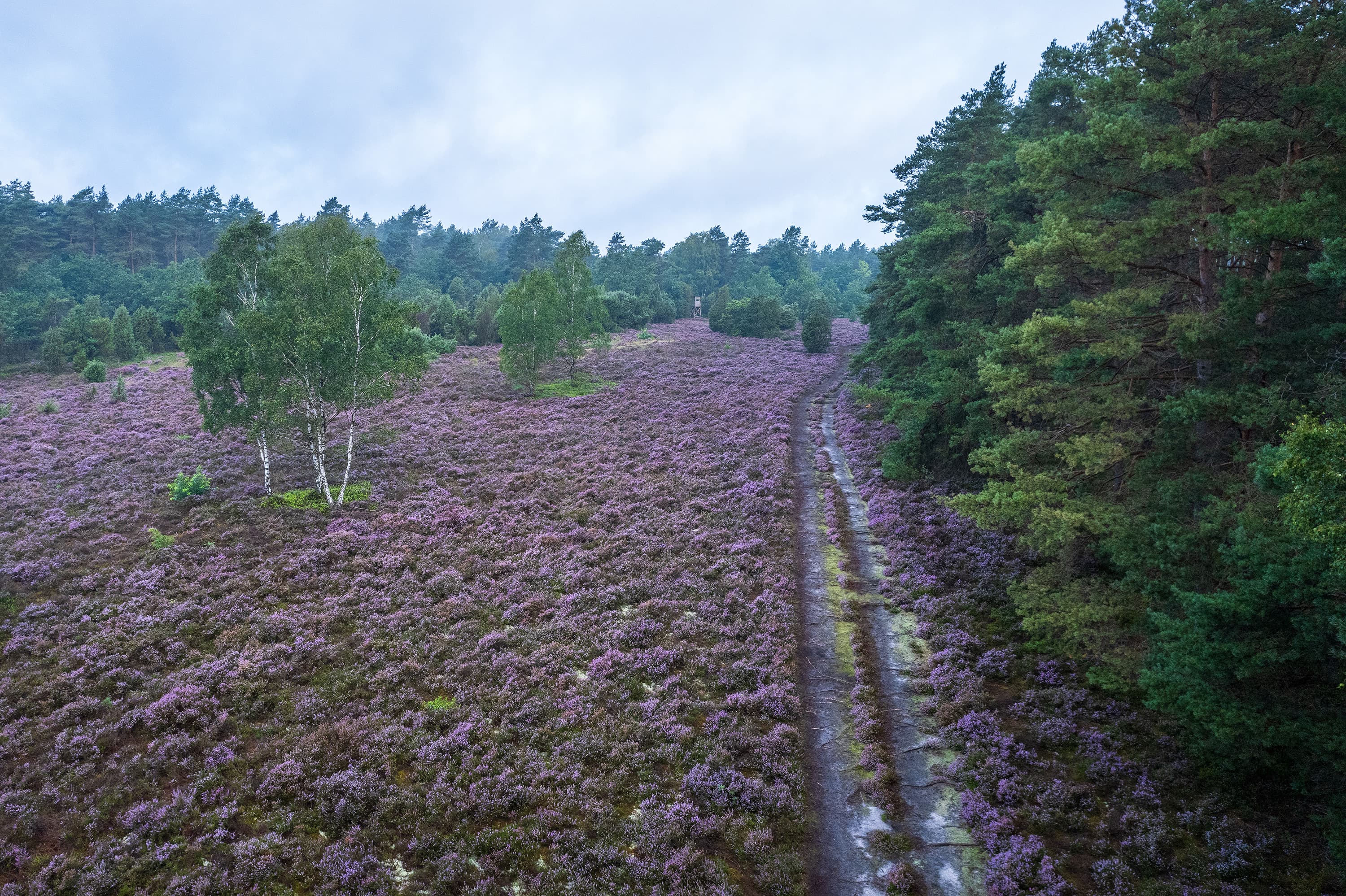 Herrlich abwechslungsreiche Landschaft zeigt sich auf dem Schillohsberg