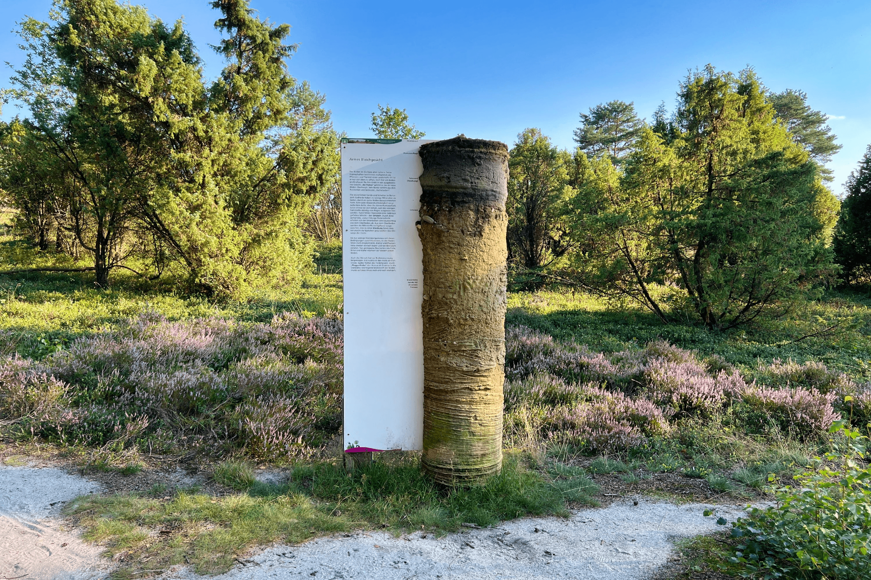 Wanderweg mit Informationen zur Kulturlandschaft "Heide"