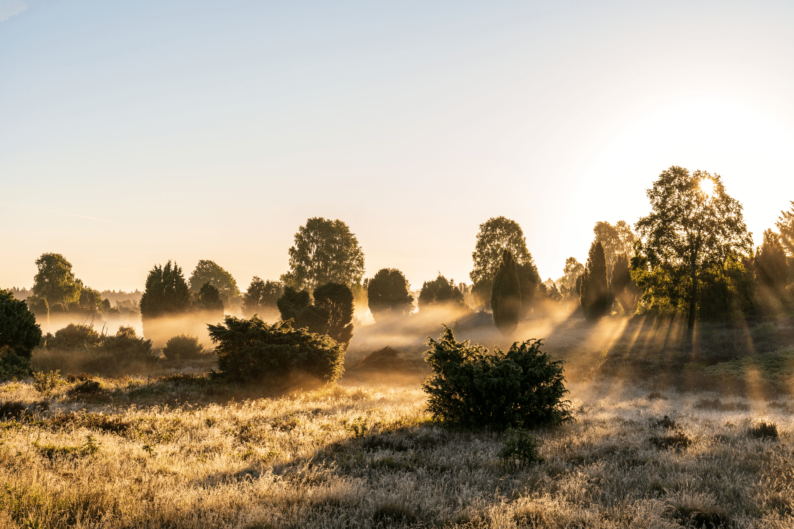 Eine wunderbare Landschaft zum Wandern am Wilseder Berg