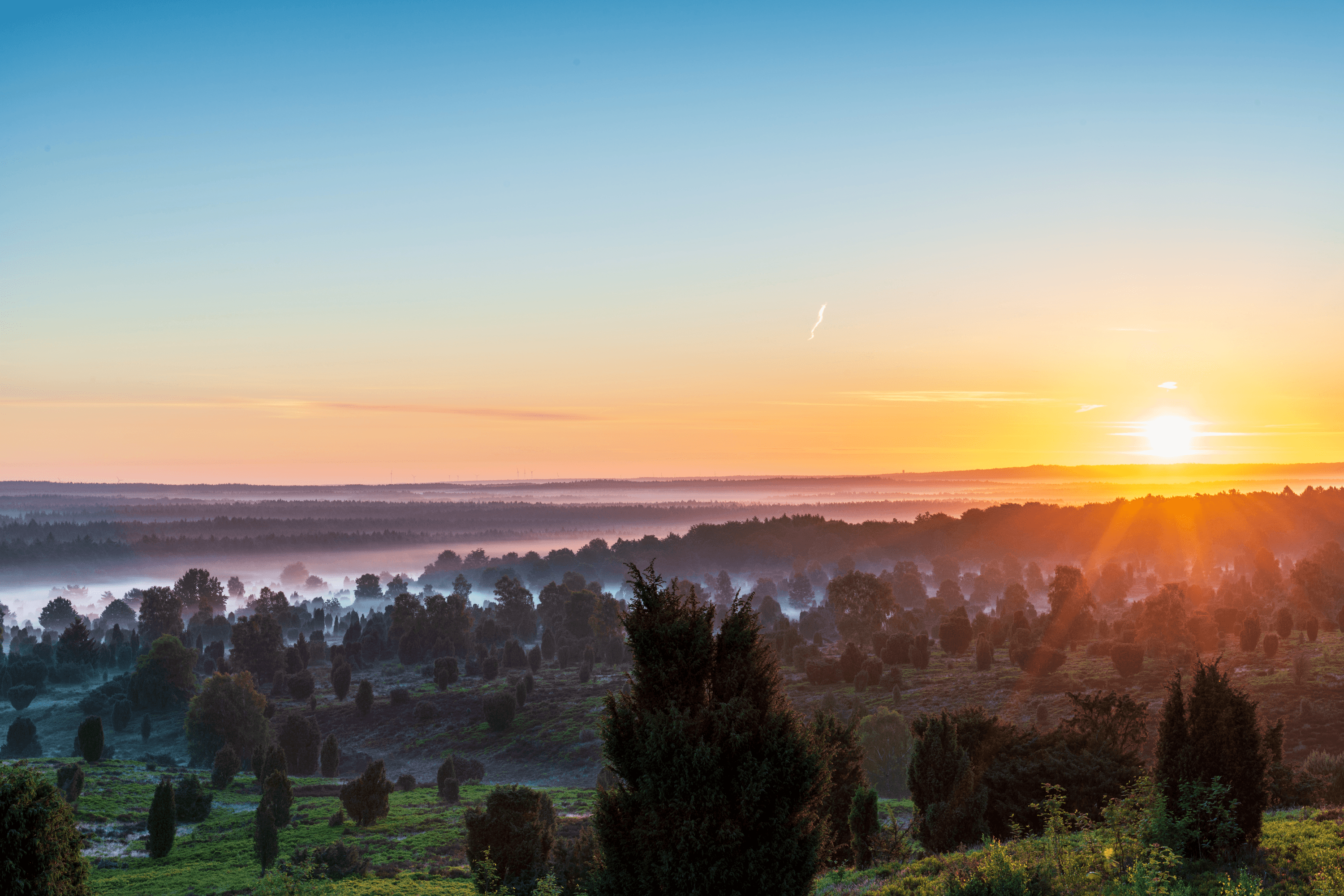 Nebel in der Heide, Sonnenaufgang am Wilseder Berg