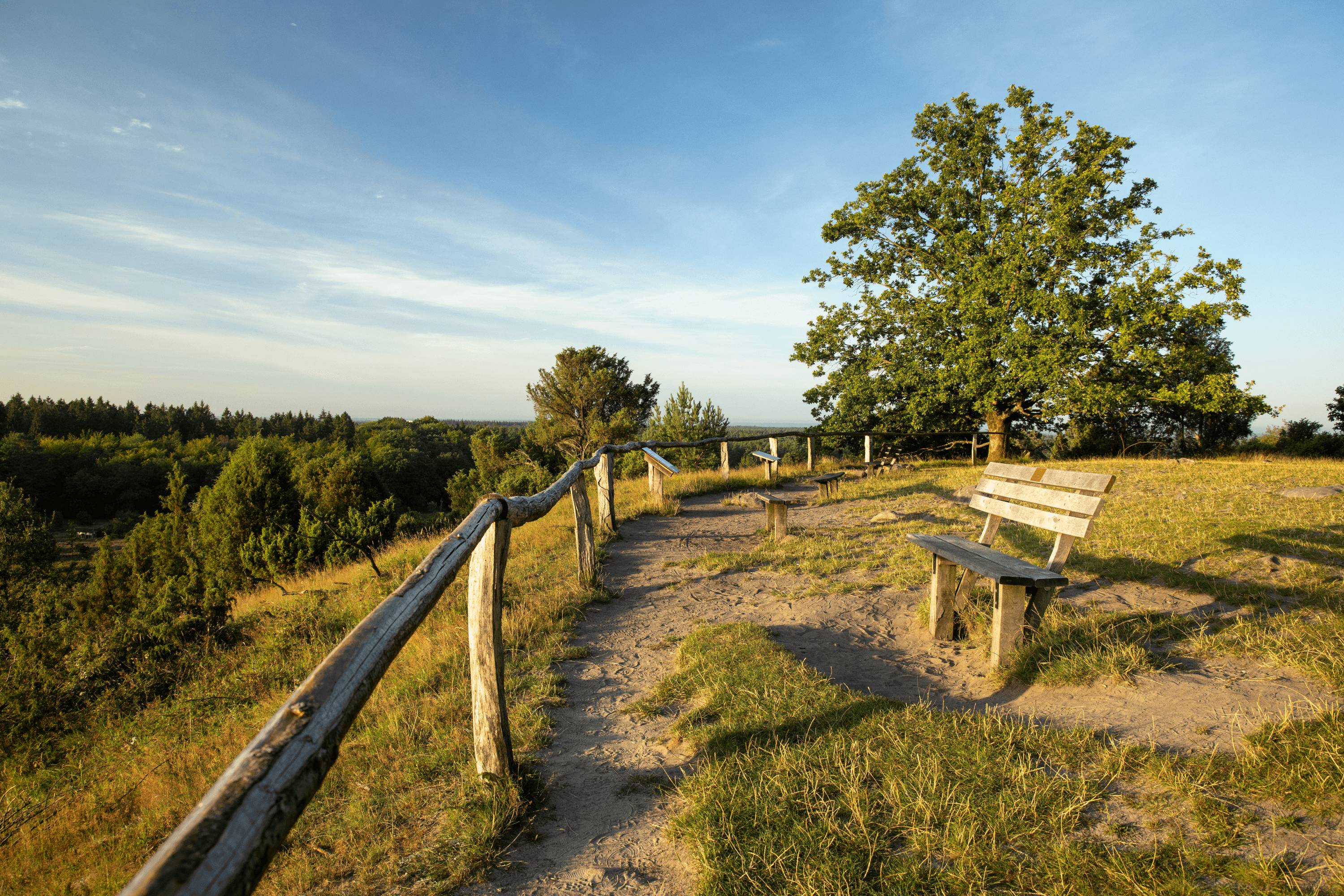 Blick in den wunderbaren Totengrund in der Lüneburger Heide