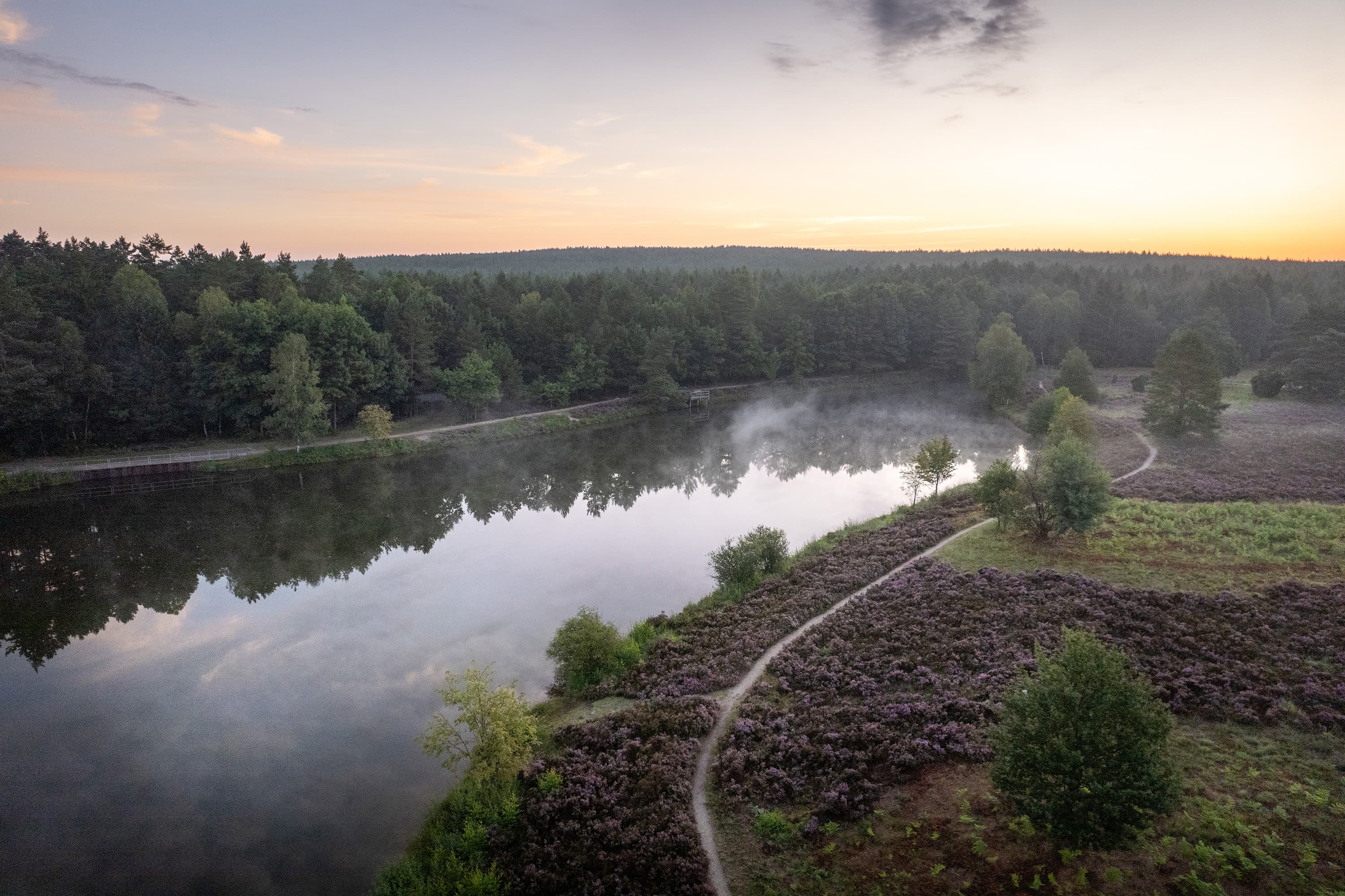 Wandern um den Angelbecksteich bei Frühnebel