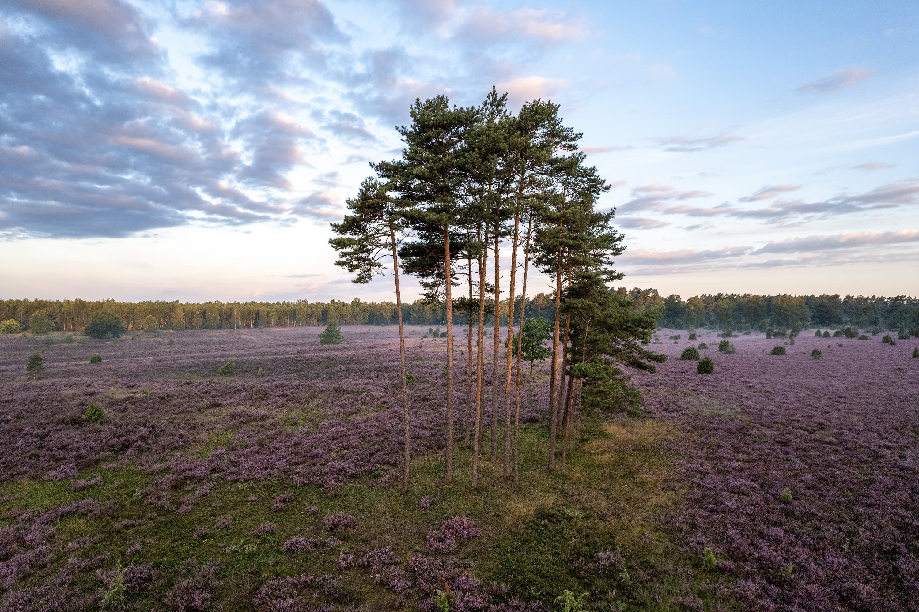 Wandern am Tiefental bei Hermannsburg