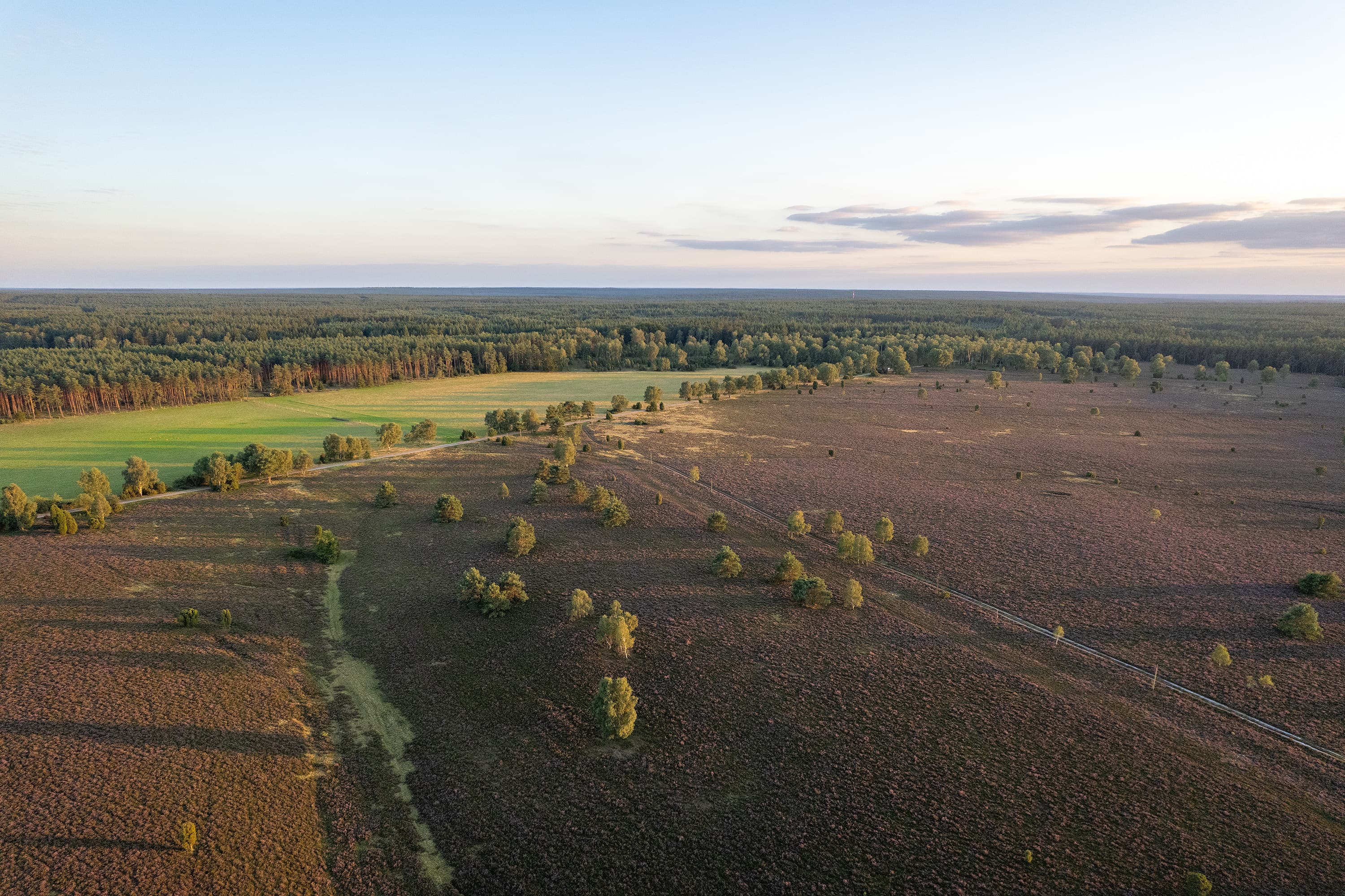 Die Weite der Oberoher Heide begeistert jeden Wanderer