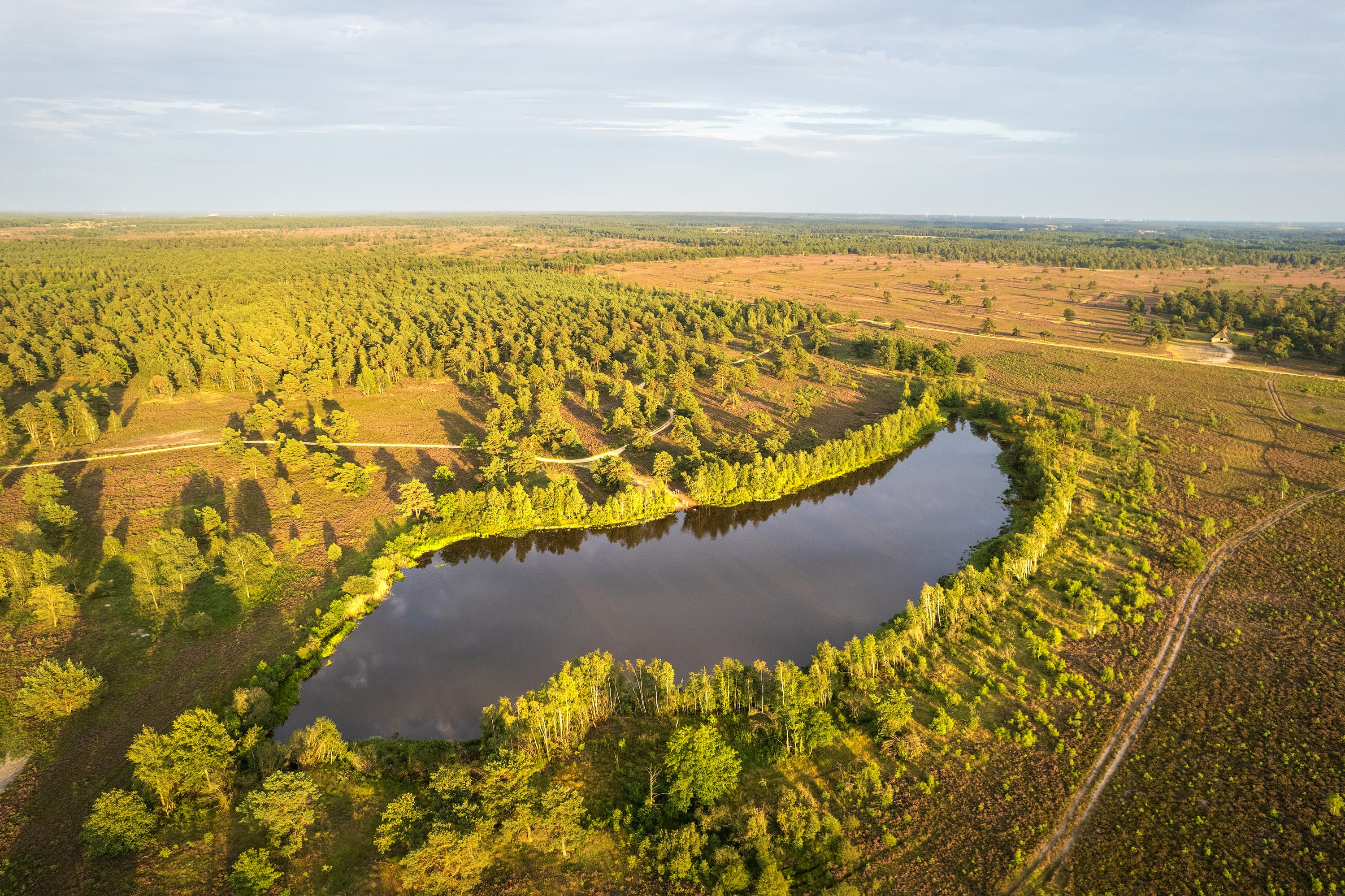 Blick auf den Sylvestersee in der Osterheide Schneverdingen zur Heideblüte