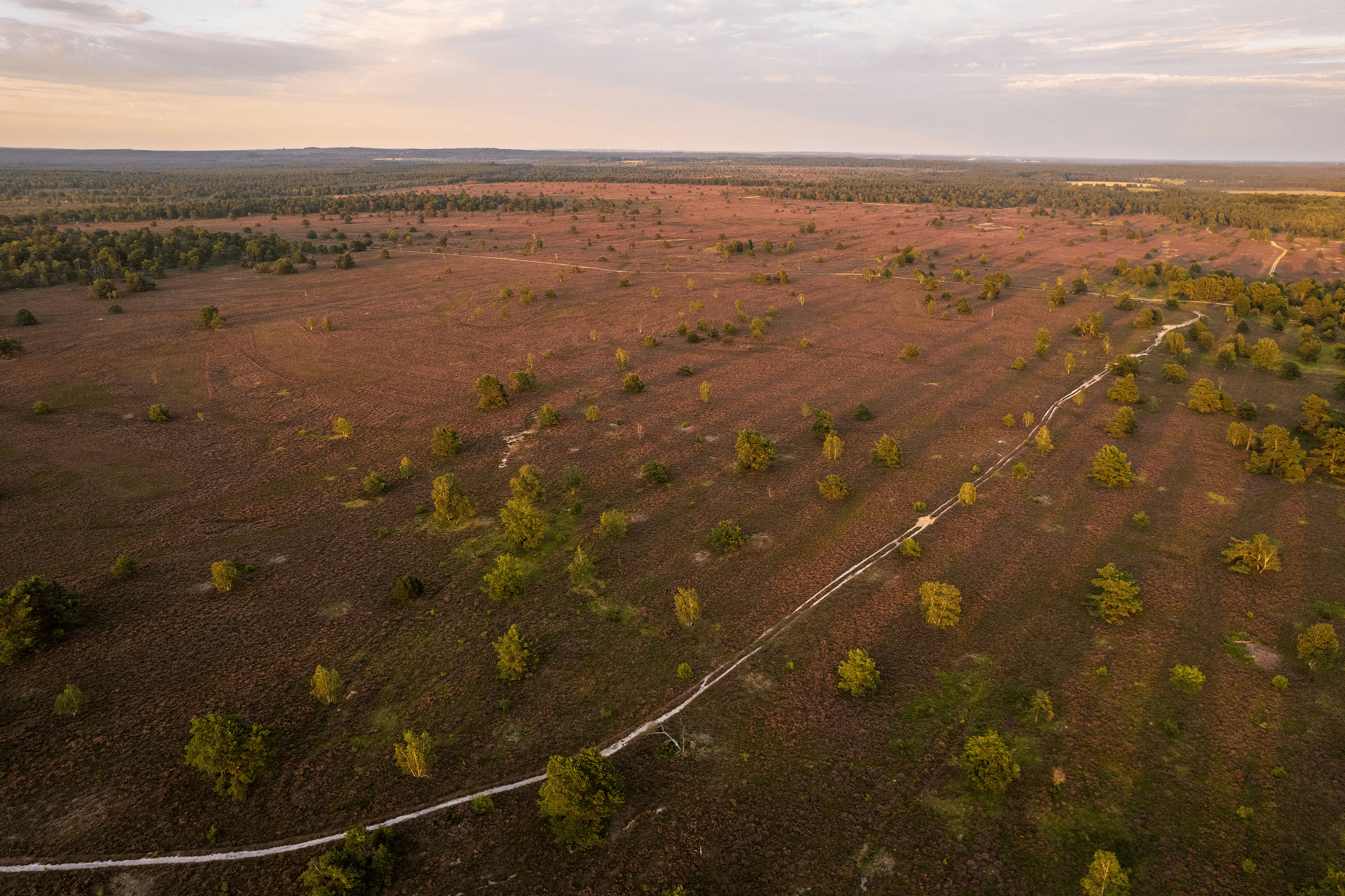 Sonnenaufgang der osterheide aus der Luft