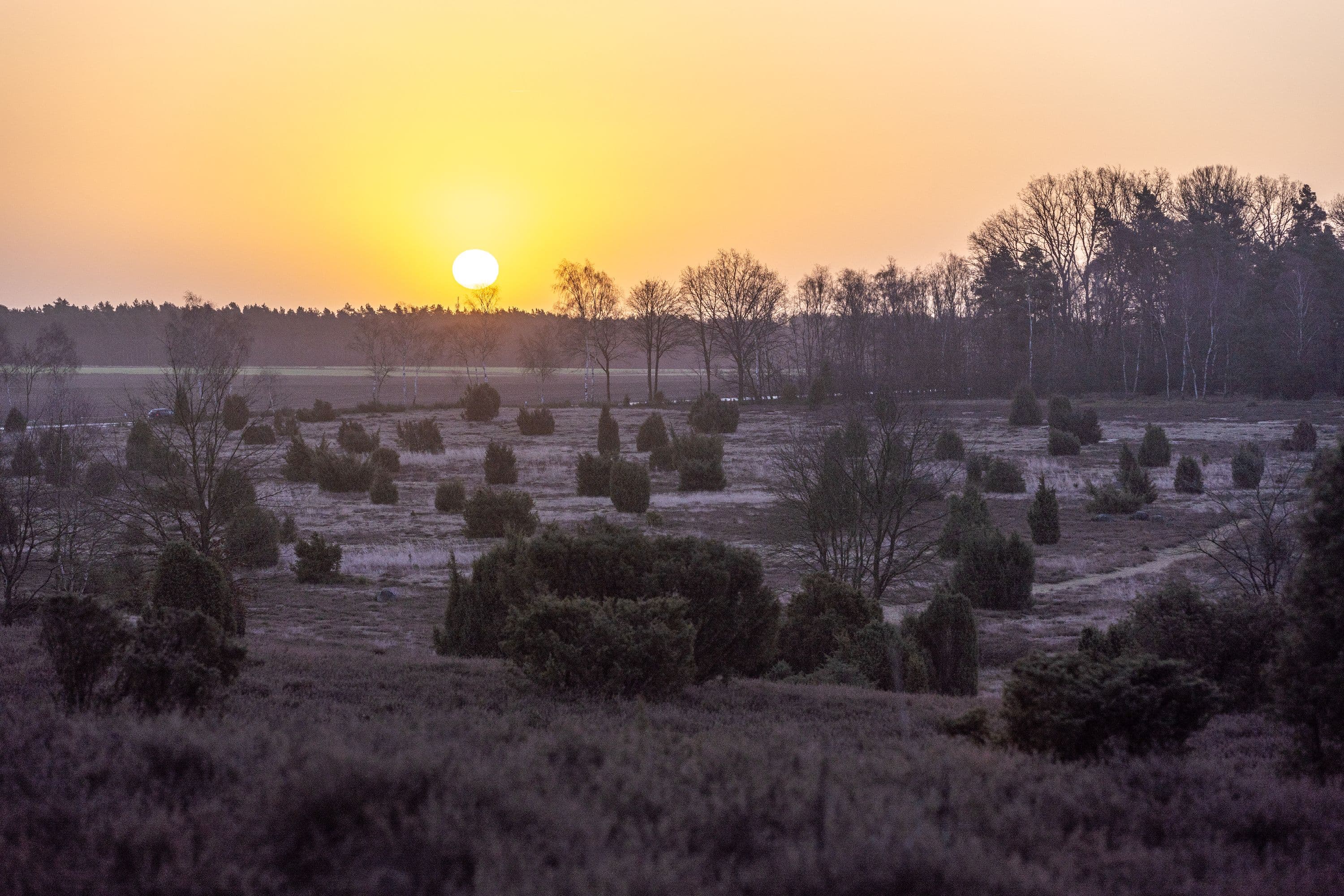 Herrlicher Sonnenaufgang über der frostigen Ellerndorfer Wacholderheide
