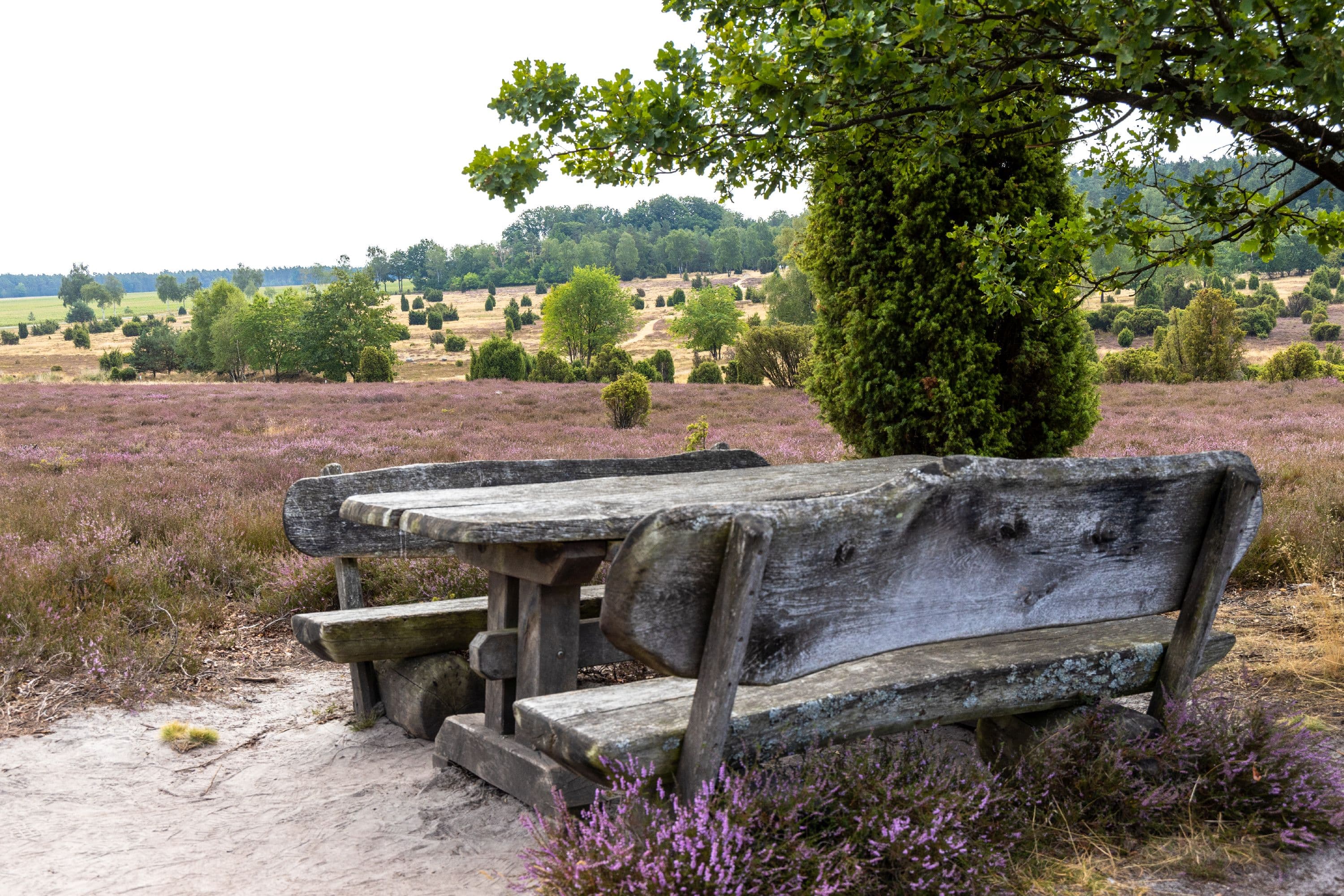 Rasten während der Wanderung durch die Ellerndorfer Wacholderheide