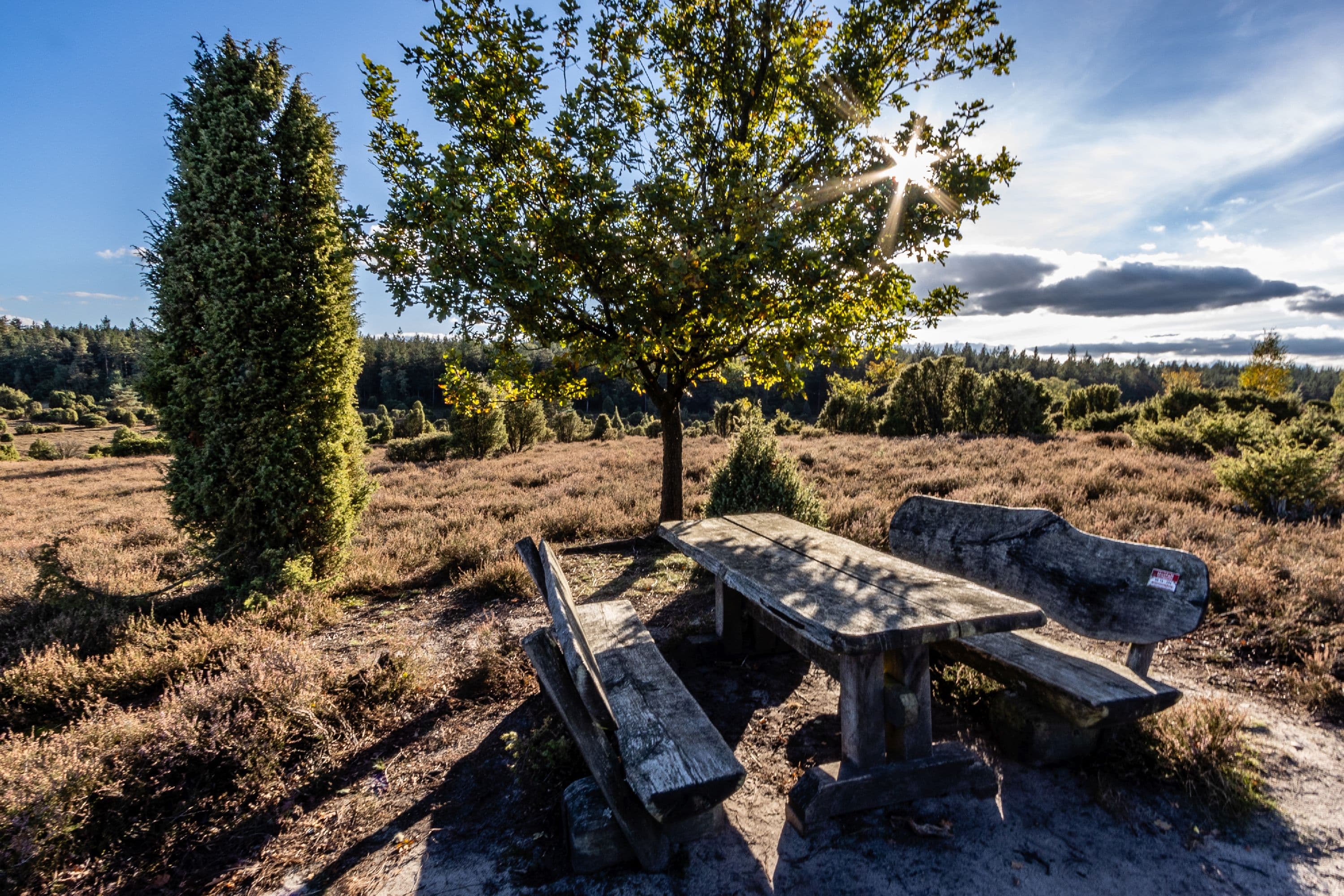 Ausblick über die Ellerndorfer Wacholderheide genießen