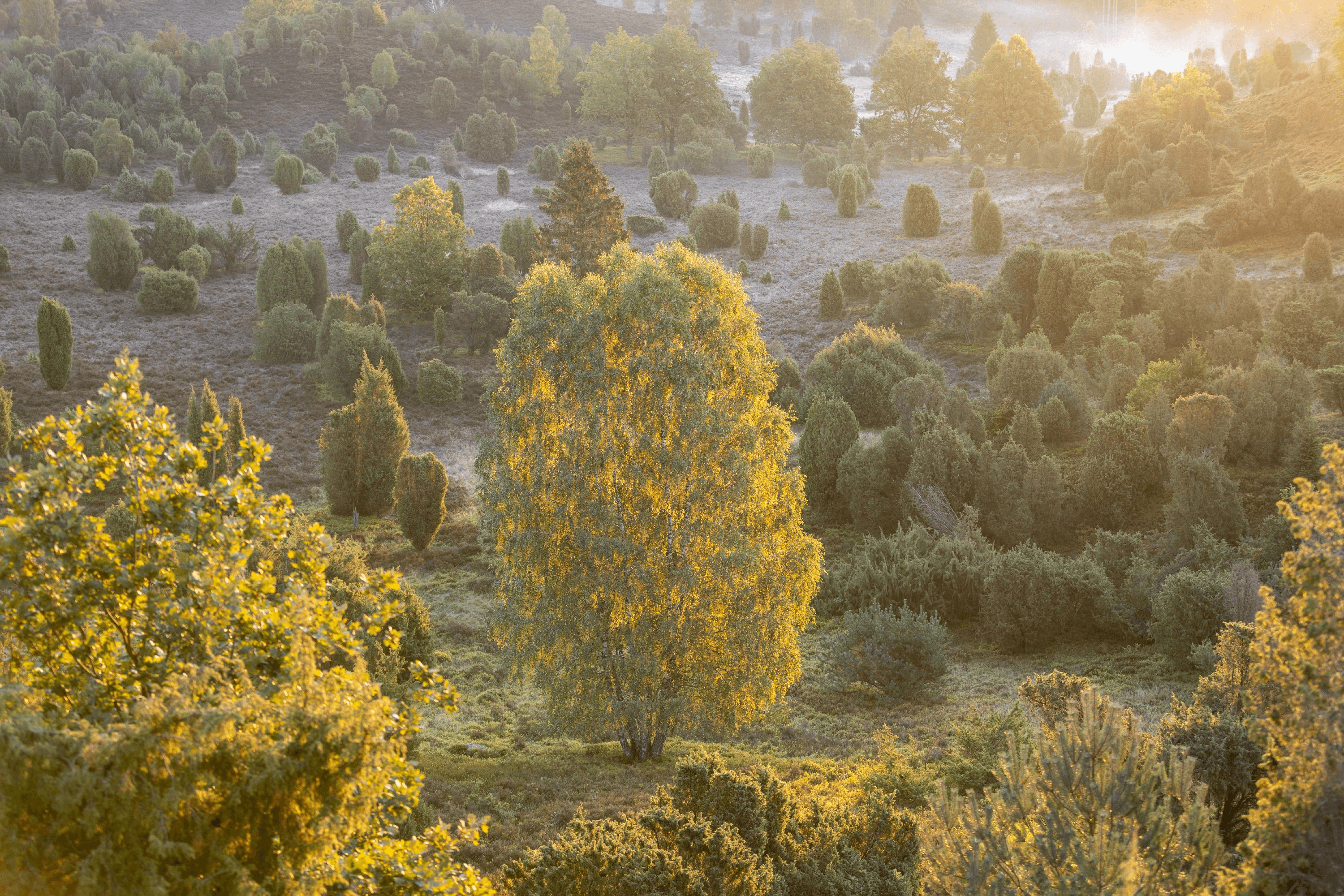 Ausblick in den Totengrund vom Wanderweg aus im Herbst