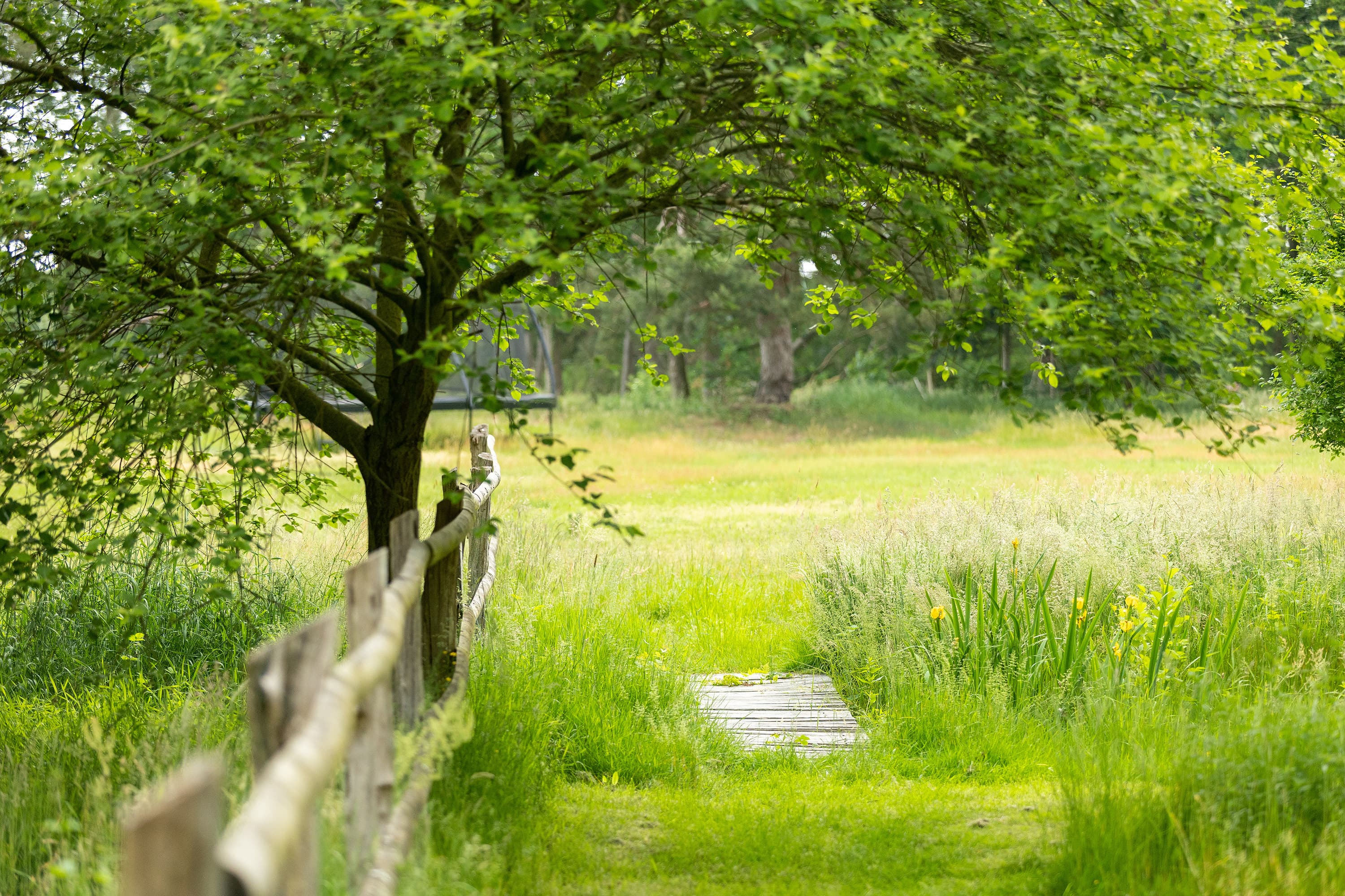 Wietze Hornbostel Wildland Landhaus Sommer Außenaufnahme