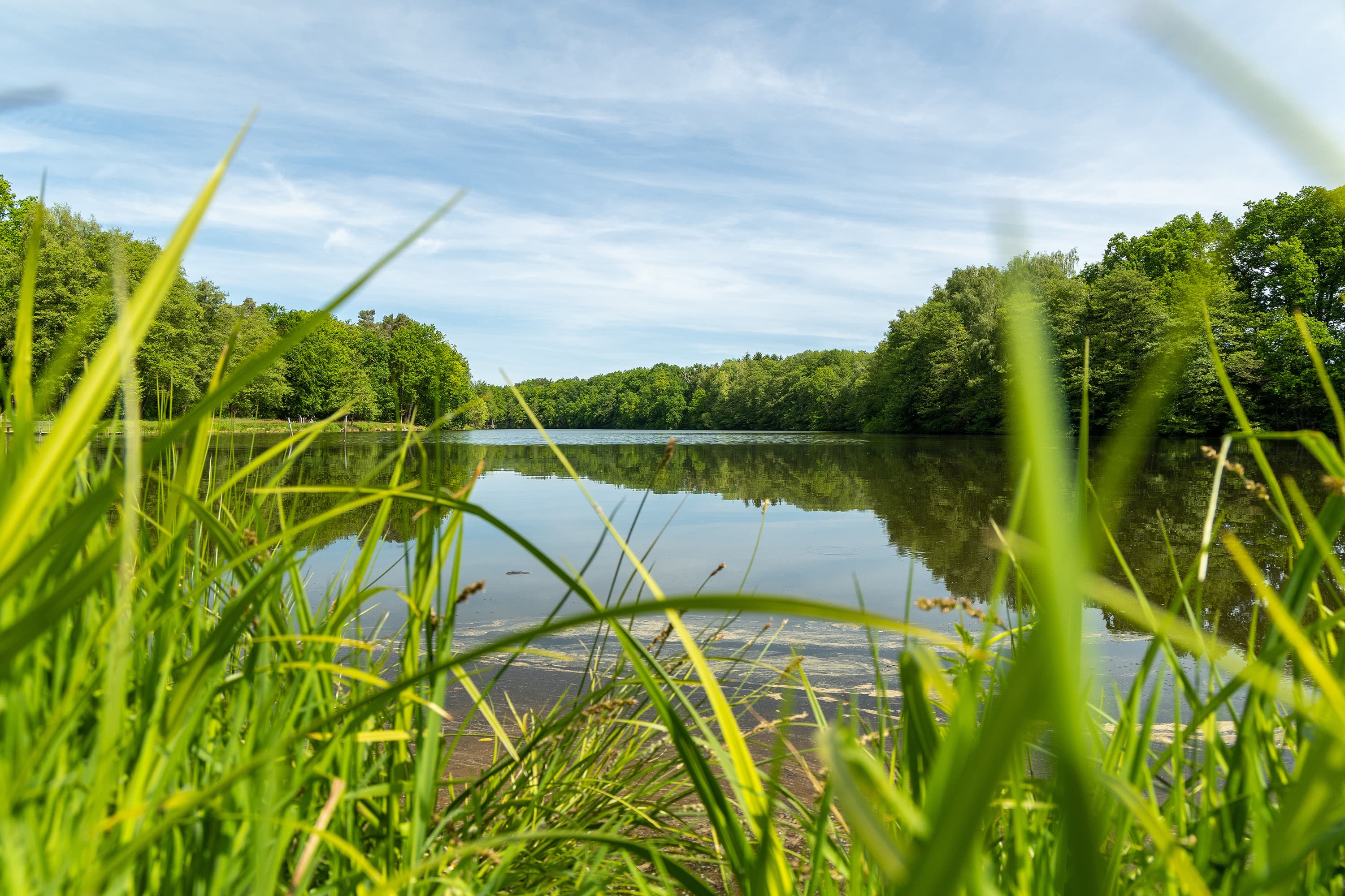 Amelinghausen Lopausee