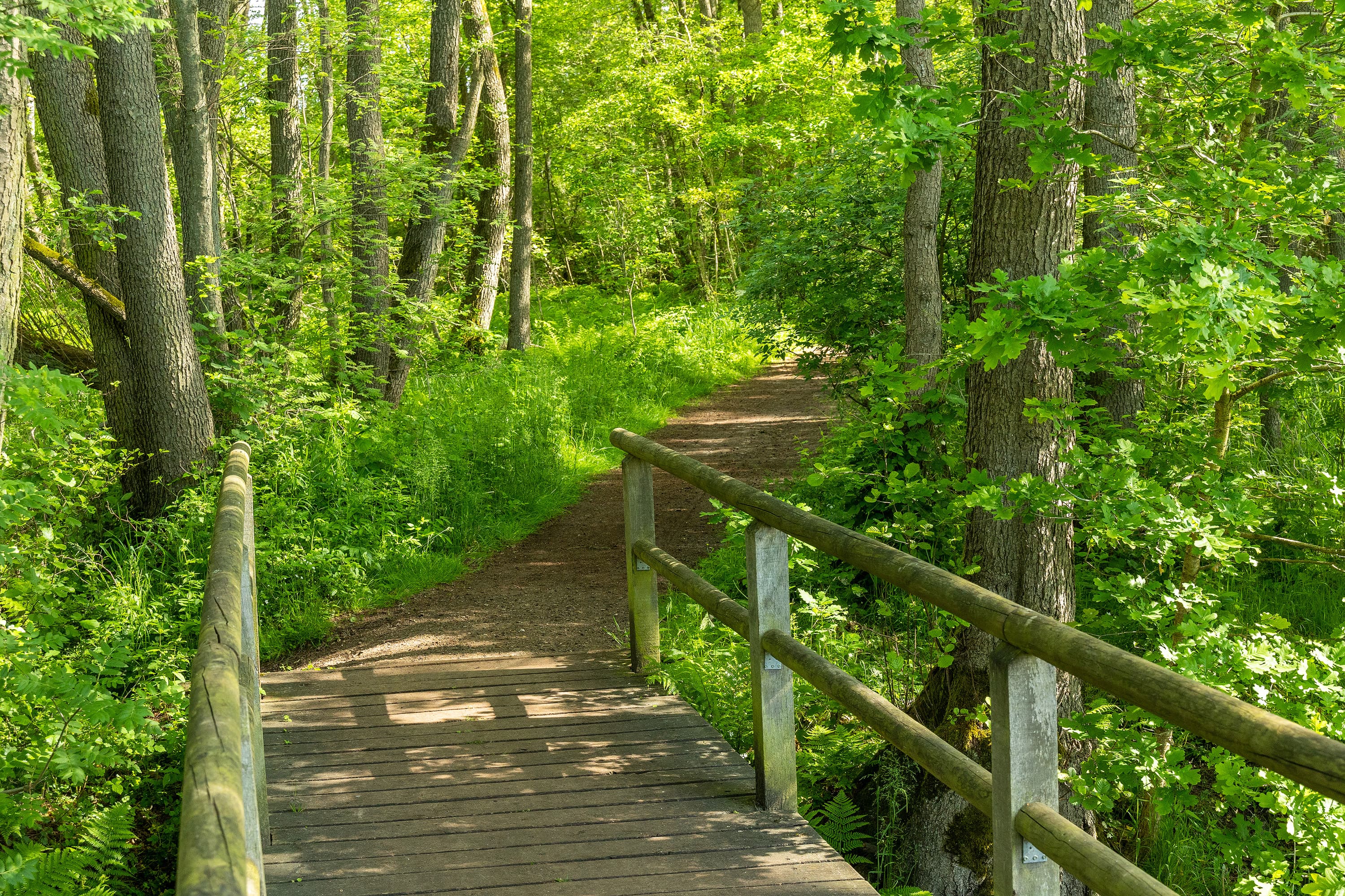 Amelinghausen Luhe Koeniginnen-Weg