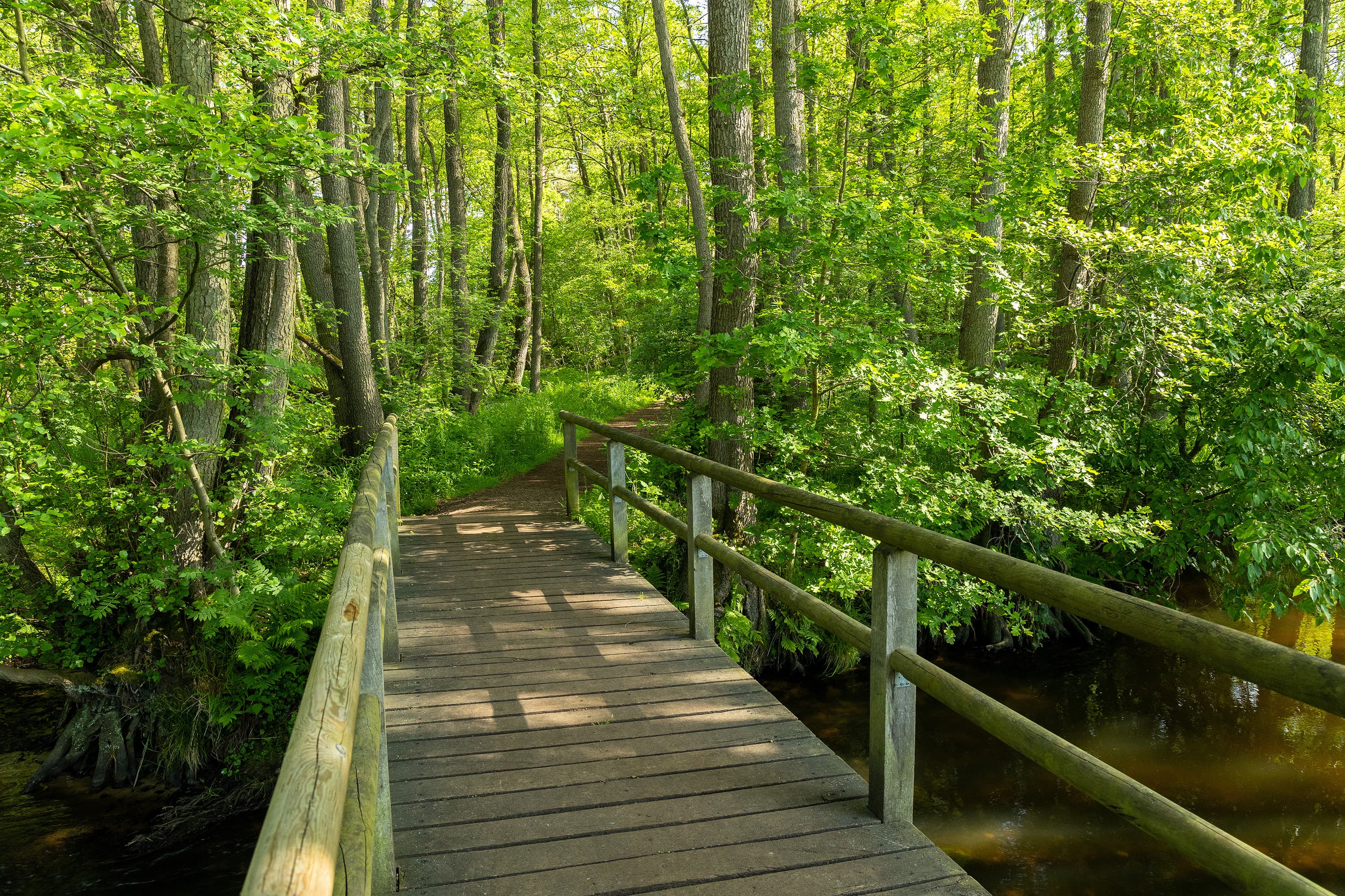 Amelinghausen Luhe Koeniginnen-Weg Brücke