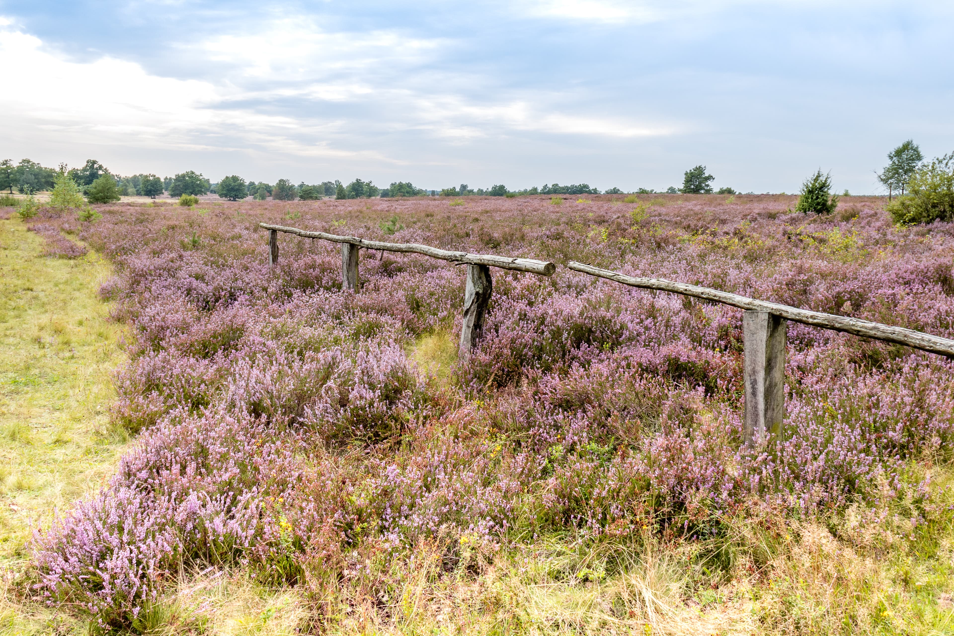 Leine Heide Radweg, der Radurlaub im Niedersachsen