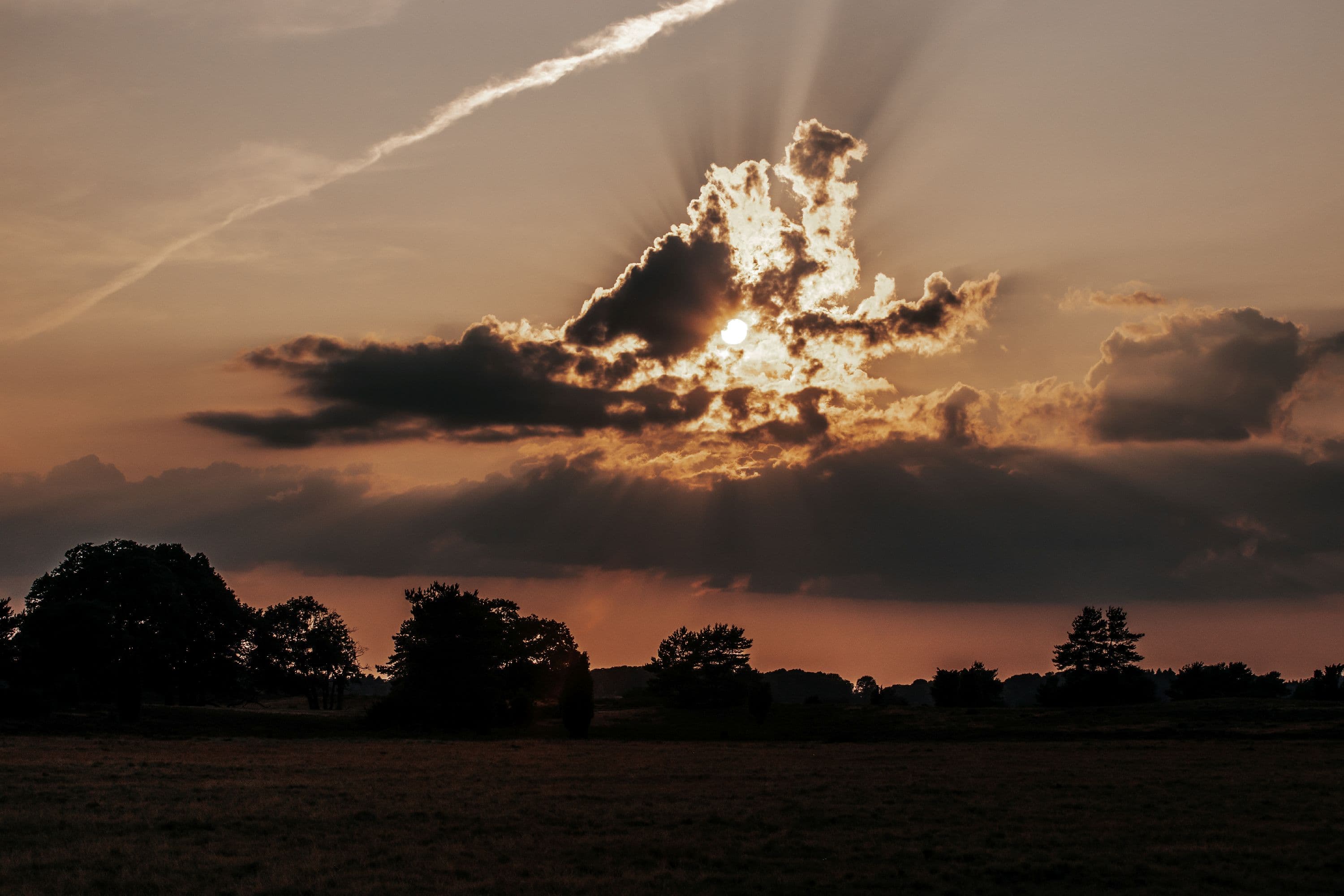 Im Sonnenuntergang zeigt sich in der Behringer Heide eine einmalige Kulisse