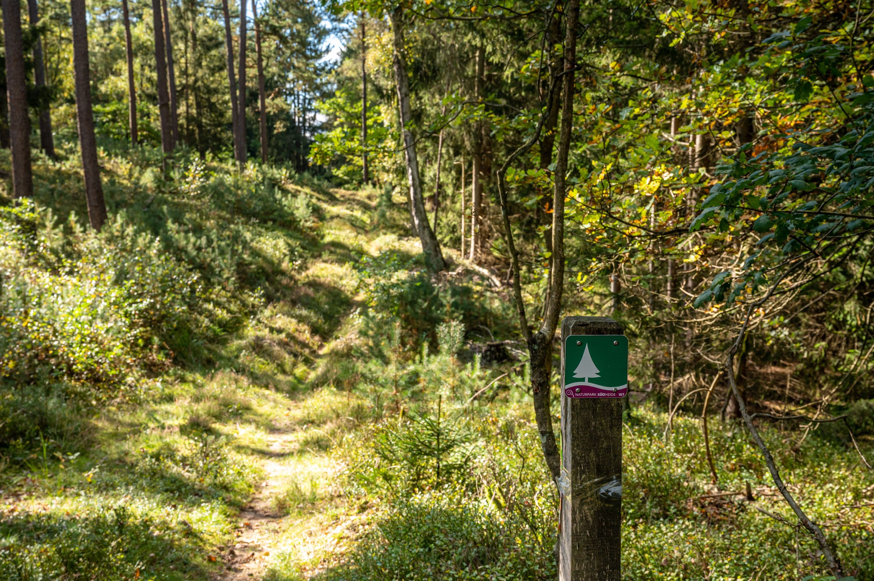 Der Wanderweg ist gut ausgeschildert mit dem abgebildeten Piktogramm