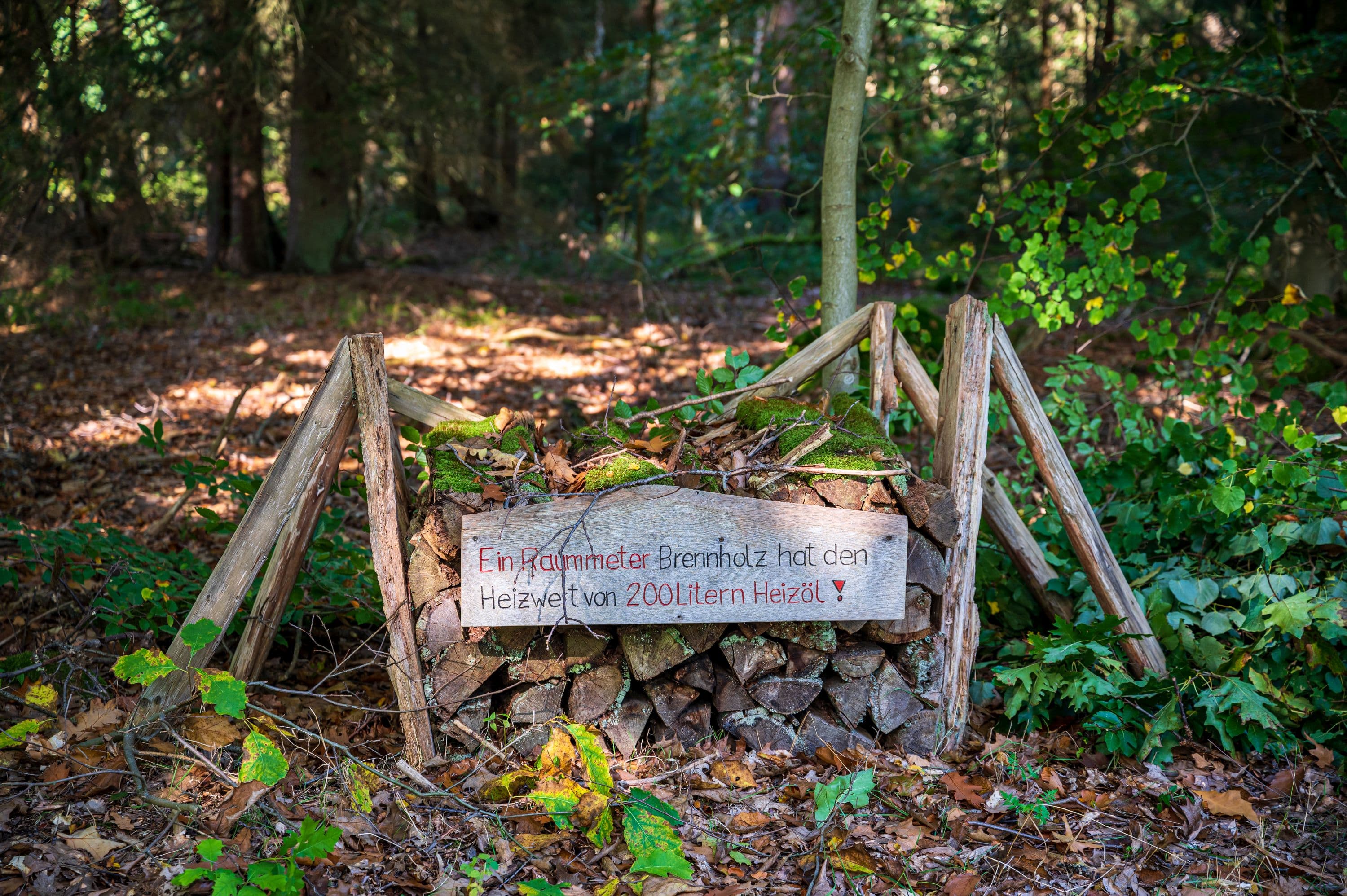 Am Wanderweg befindet sich ein Waldpädagogikzentrum mit spannenden Infos