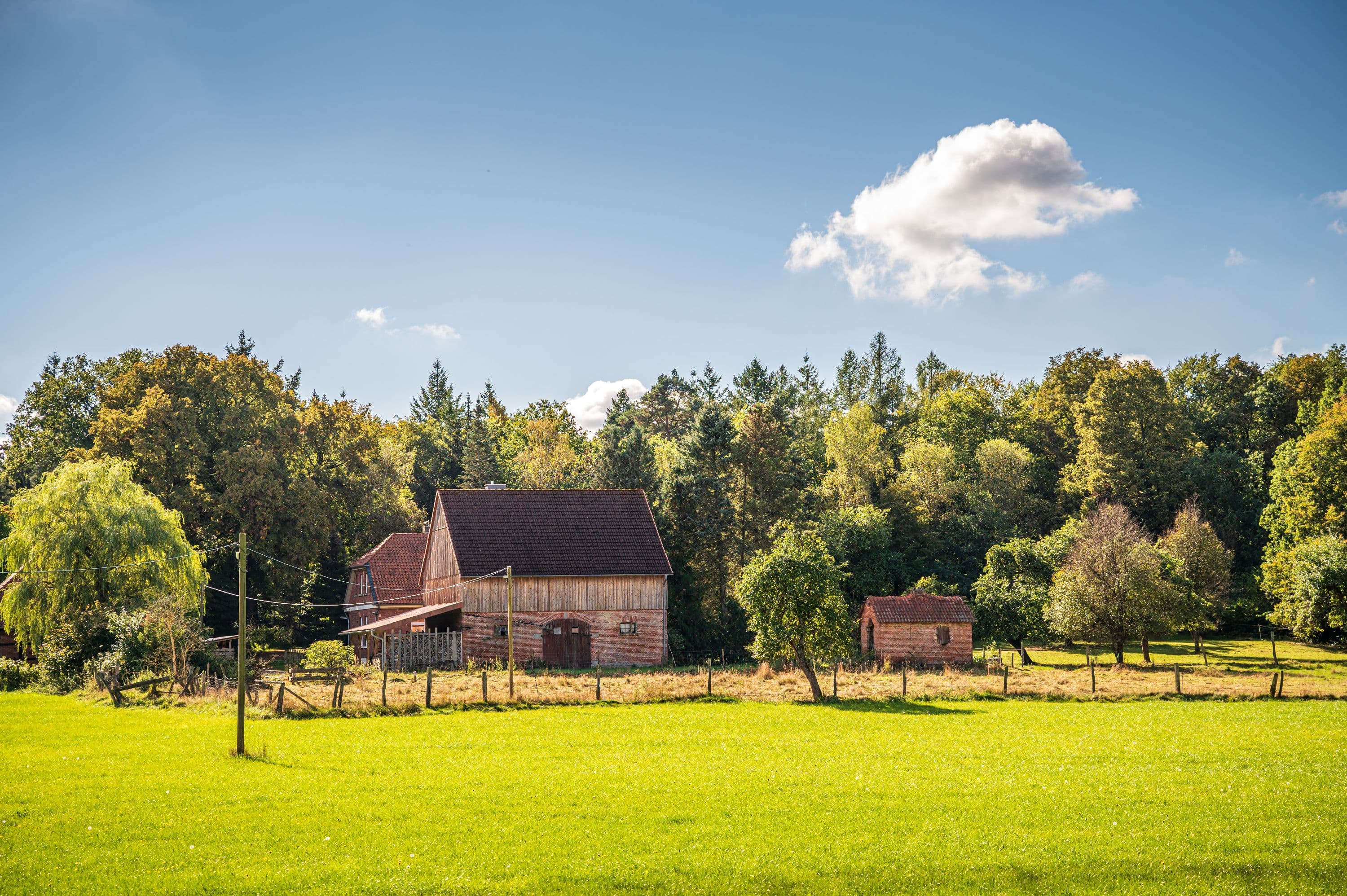 Wandern durch weite Feld- und Wiesenlandschaften