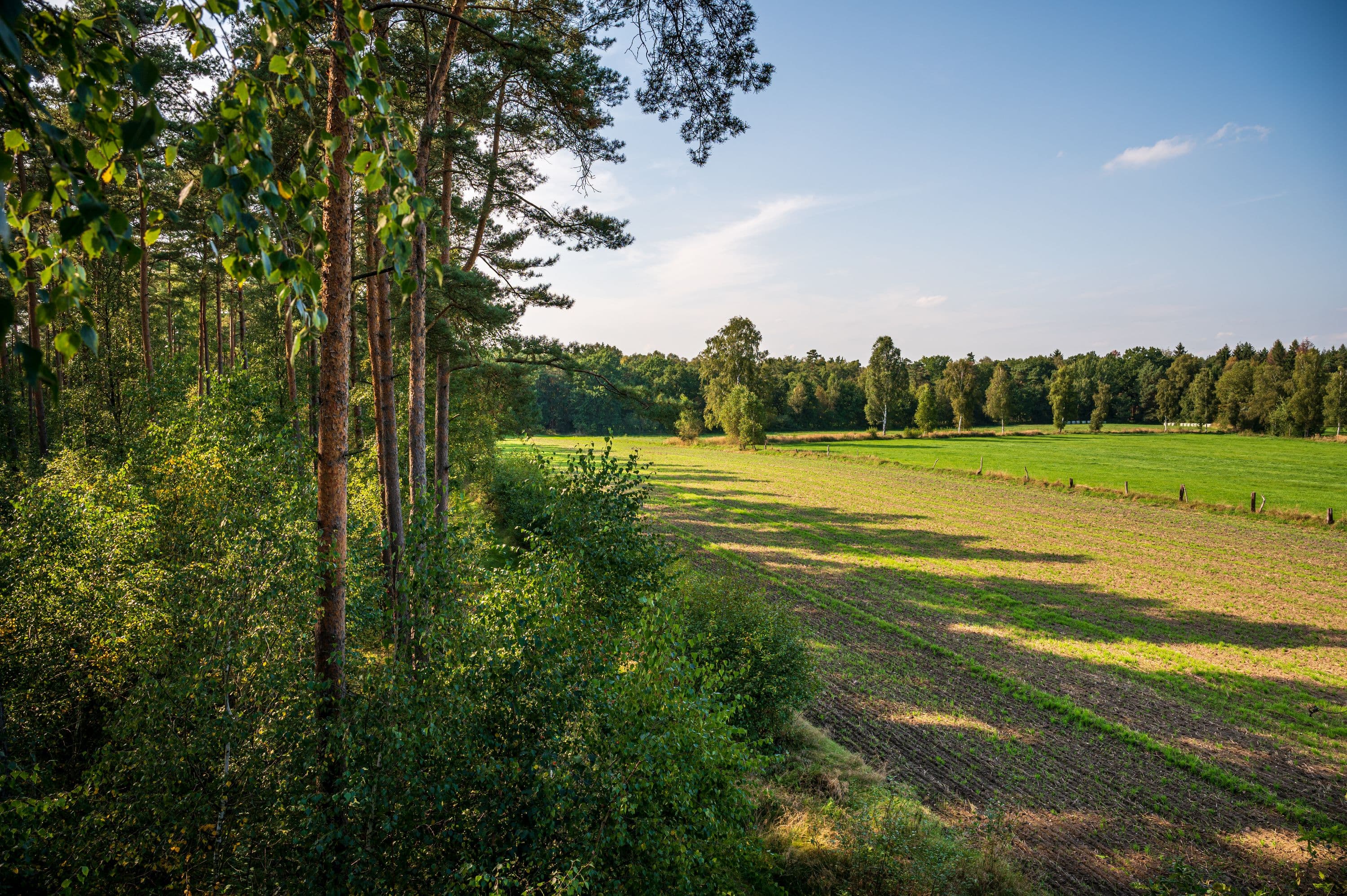 Wandern durch weite Feld- und Wiesenlandschaften in der Südheide