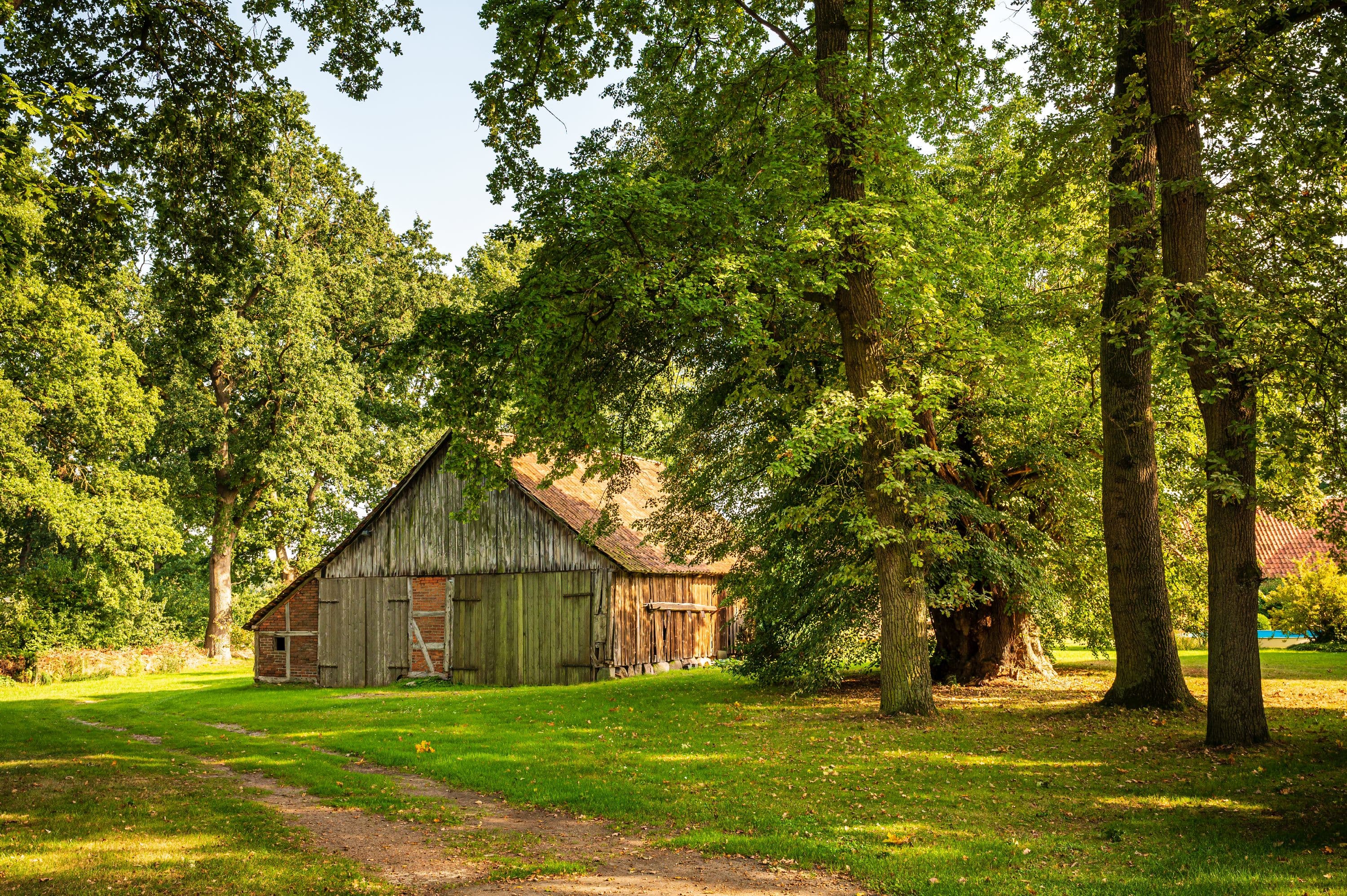 Wandern durch idyllische Heidedörfer mit alten Höfen