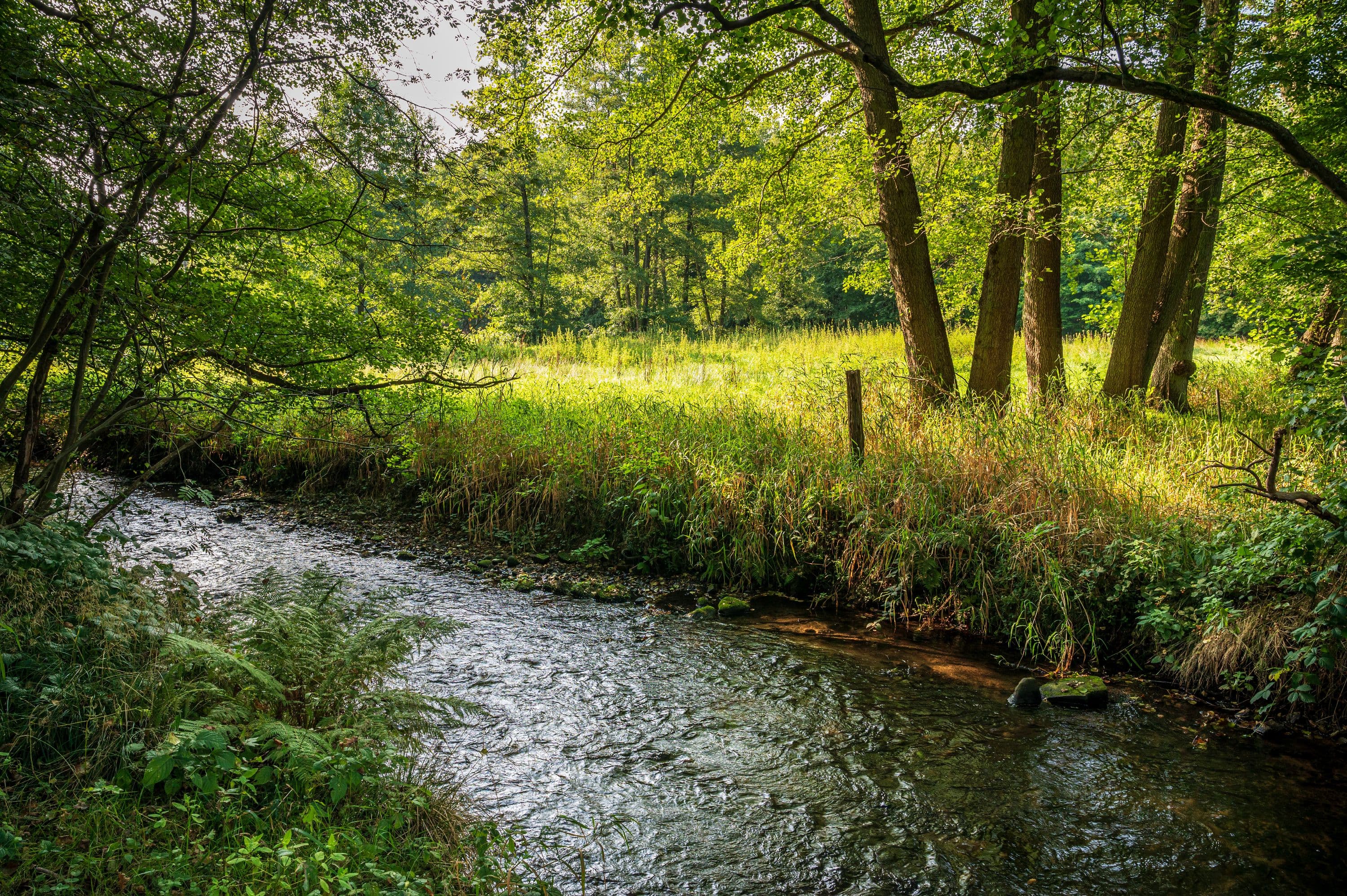 Wandern über idyllische Bachläufe
