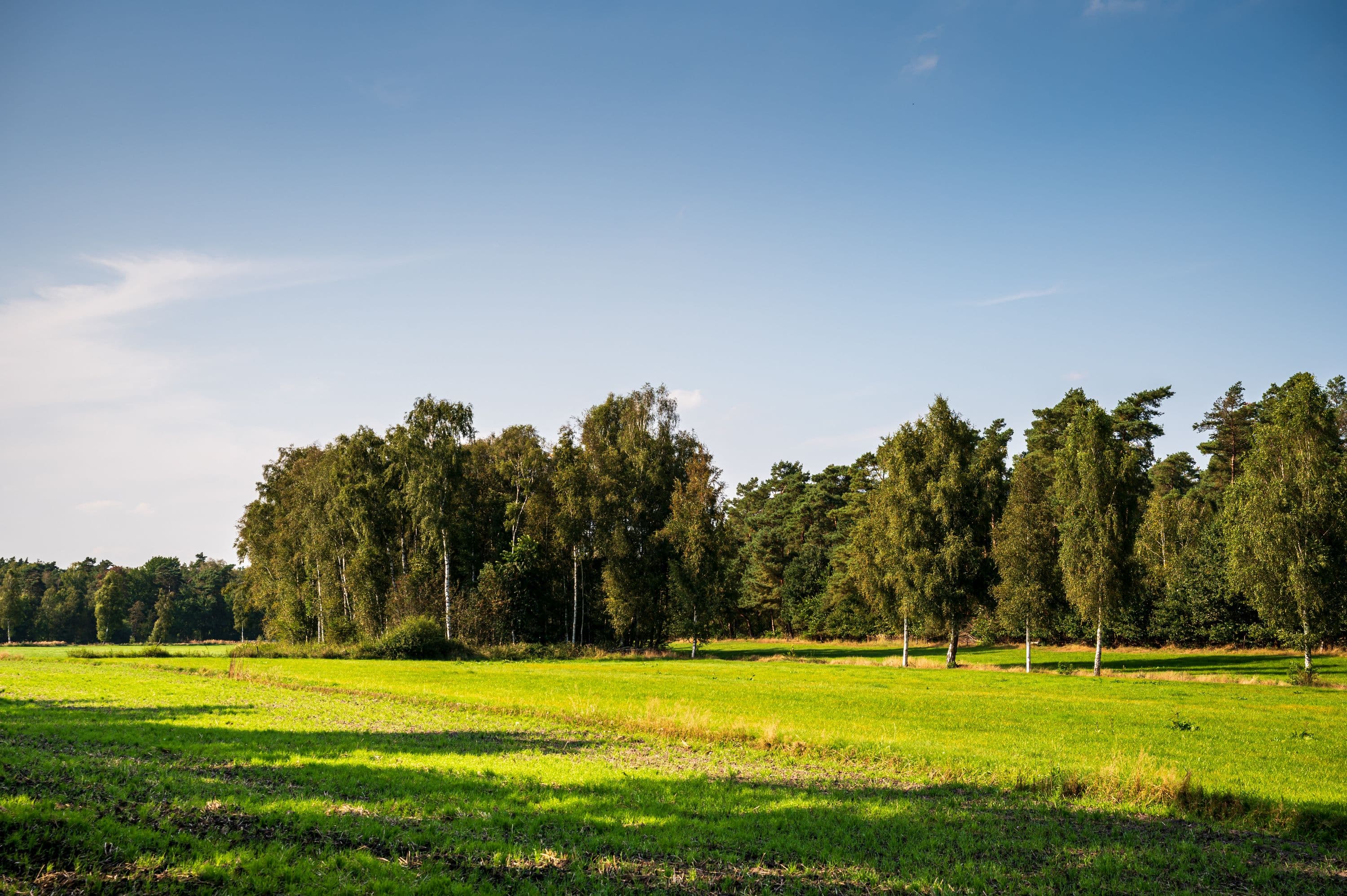 Wandern durch weite Feld- und Wiesenlandschaften in der Südheide