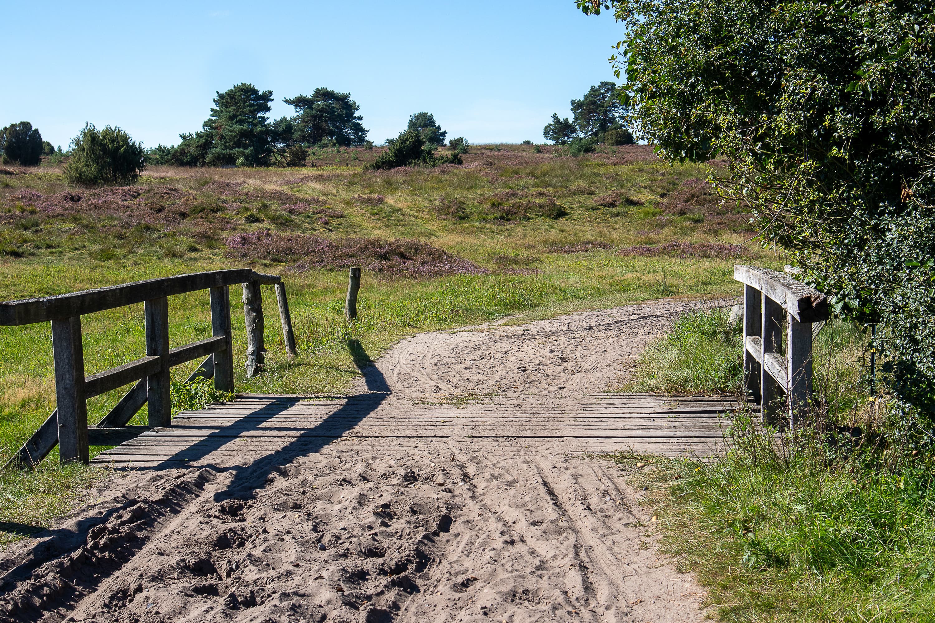 Wandern durch das blühende Radenbachtal