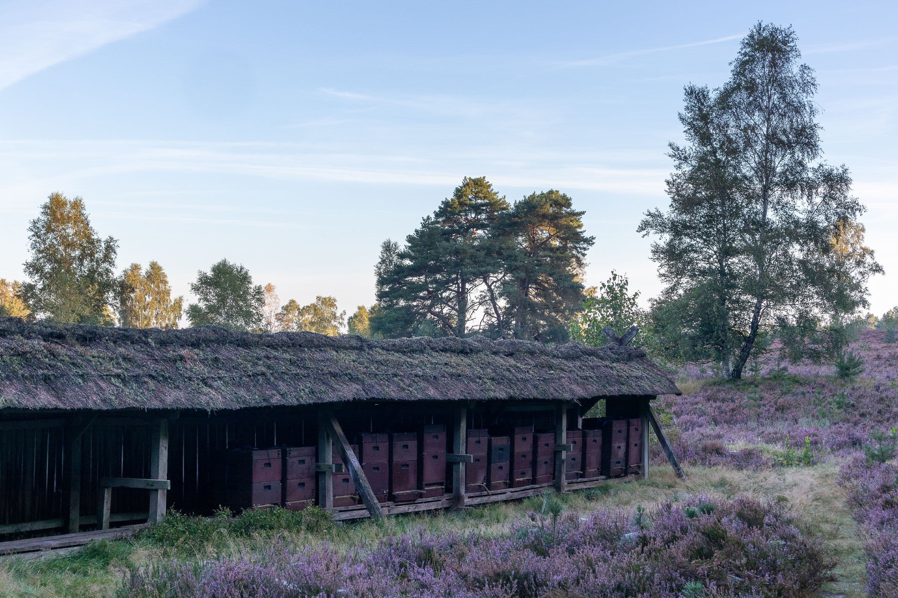 Bienenzaun am Wanderweg in der Weseler Heide
