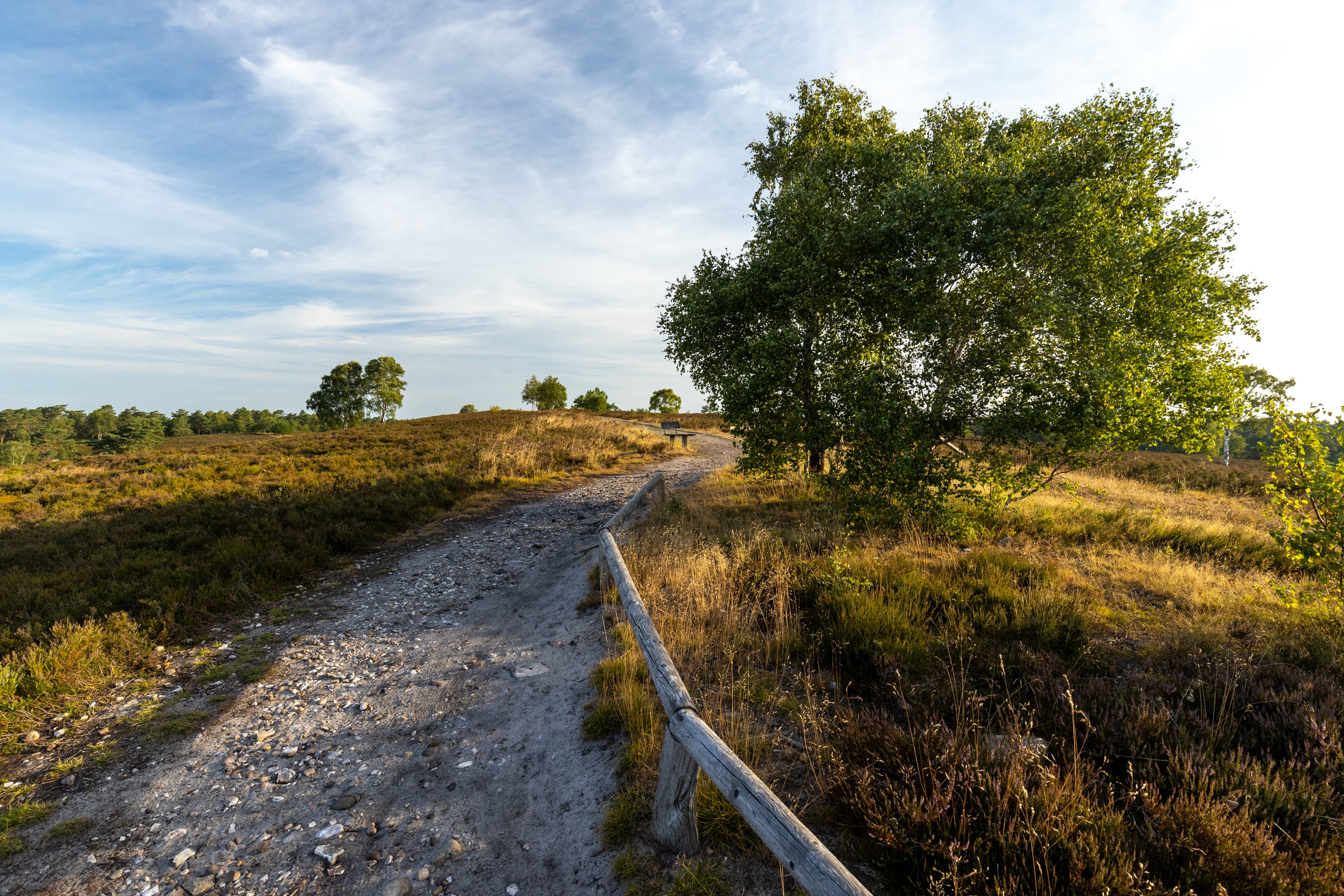 Der Weg zum Gipfel des Brunsbergs