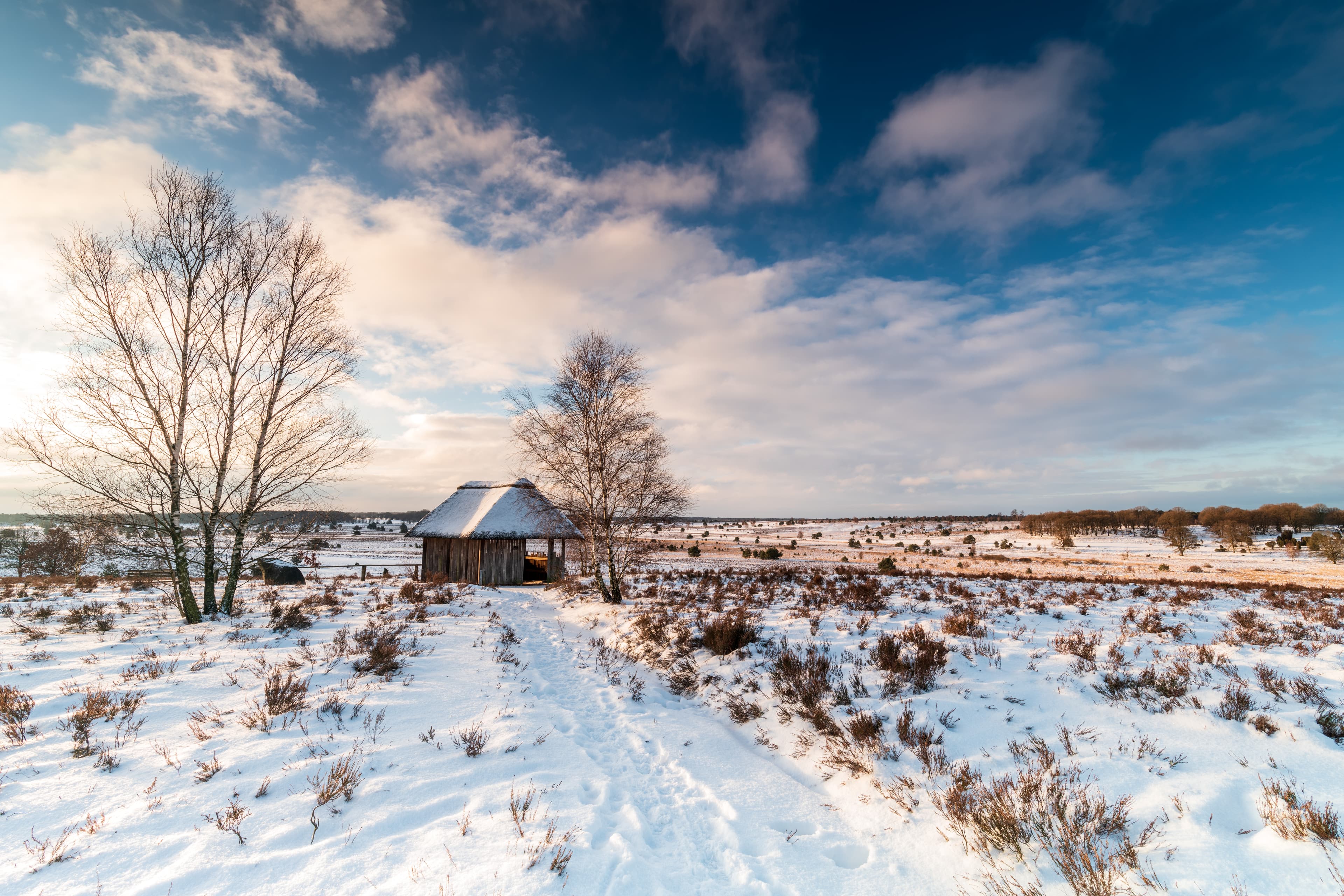 verschneite winterlandschaft am Suhorn in der Lüneburger Heide