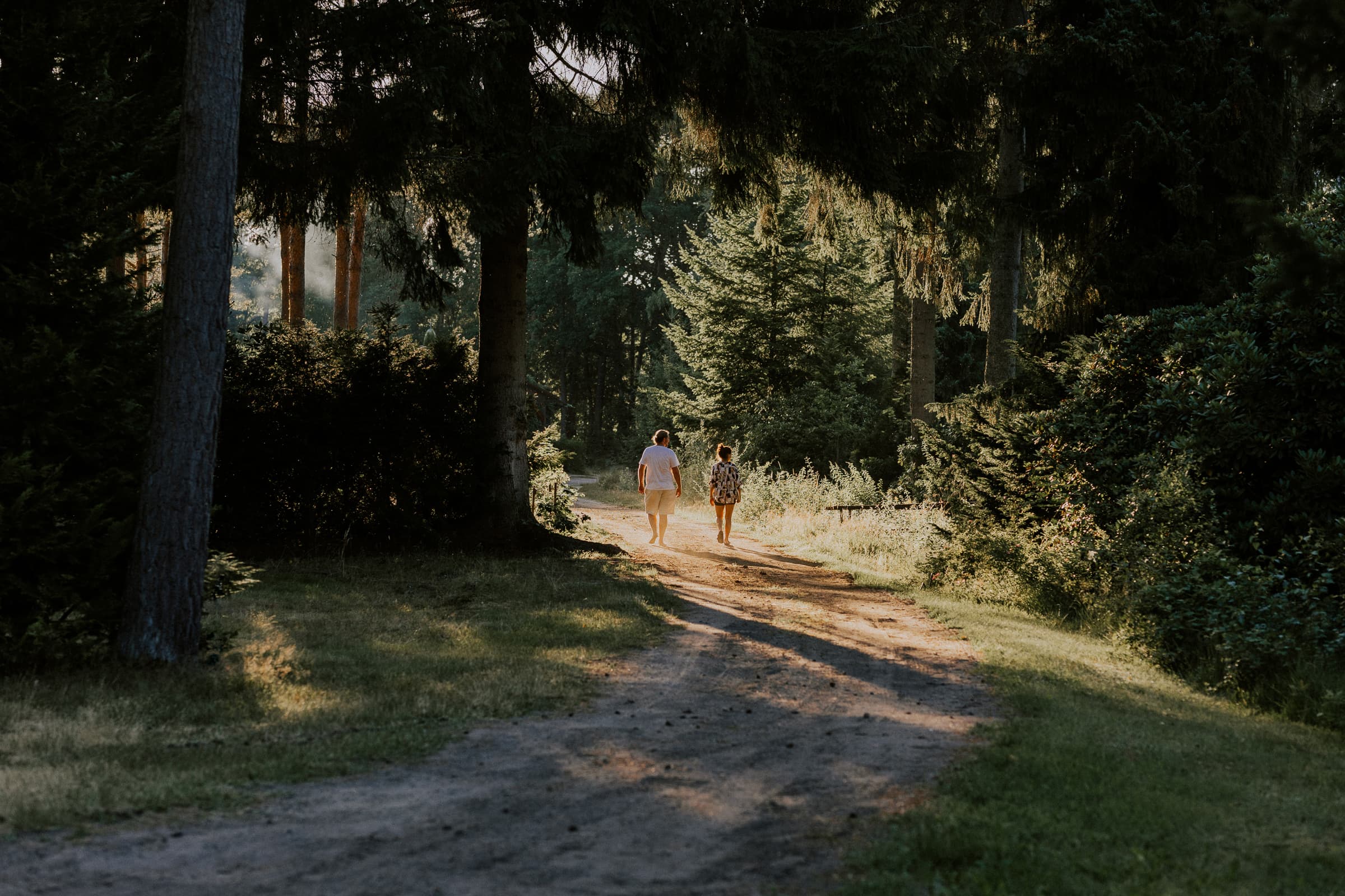 NAtur Wege auf dem Wildwood Campingplatz Lüneburger Heide