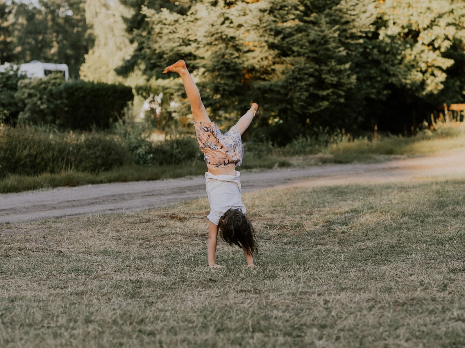 für kinder gibt es eine spielwiese bei wildwood camping