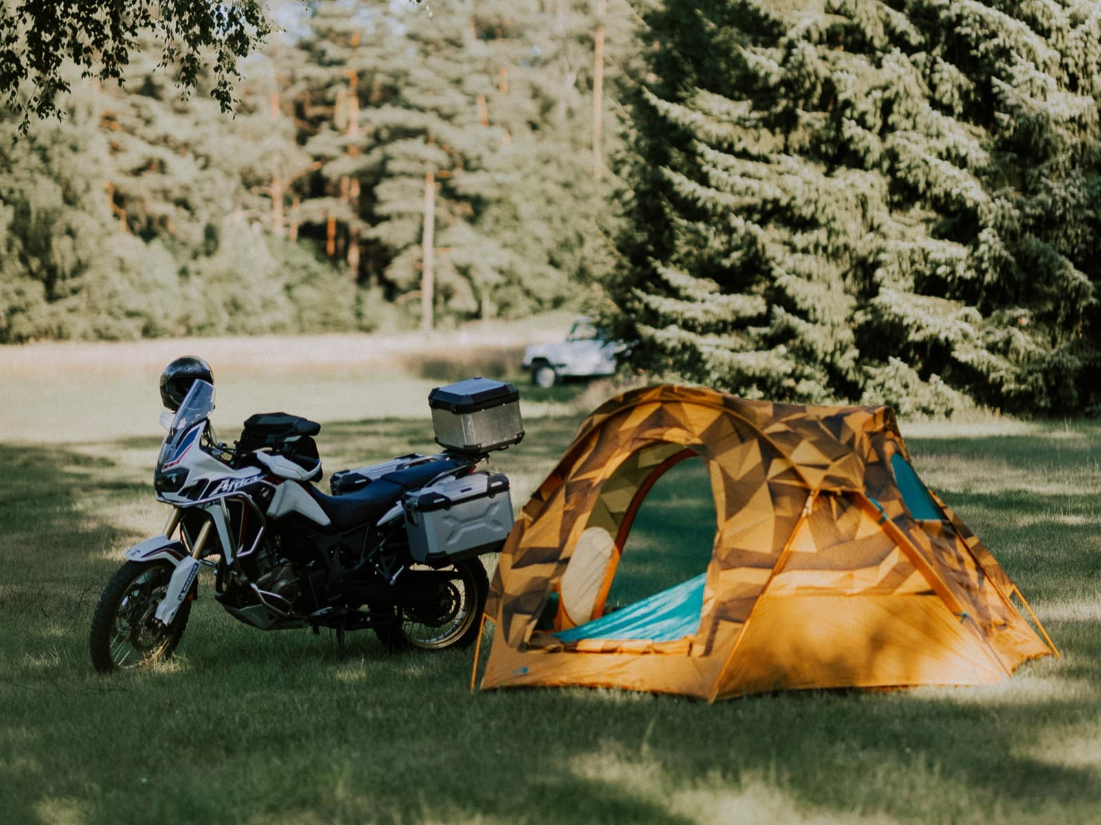 Die wilde Wiese auf dem Campingplatz Wildwood Lüneburger Heide
