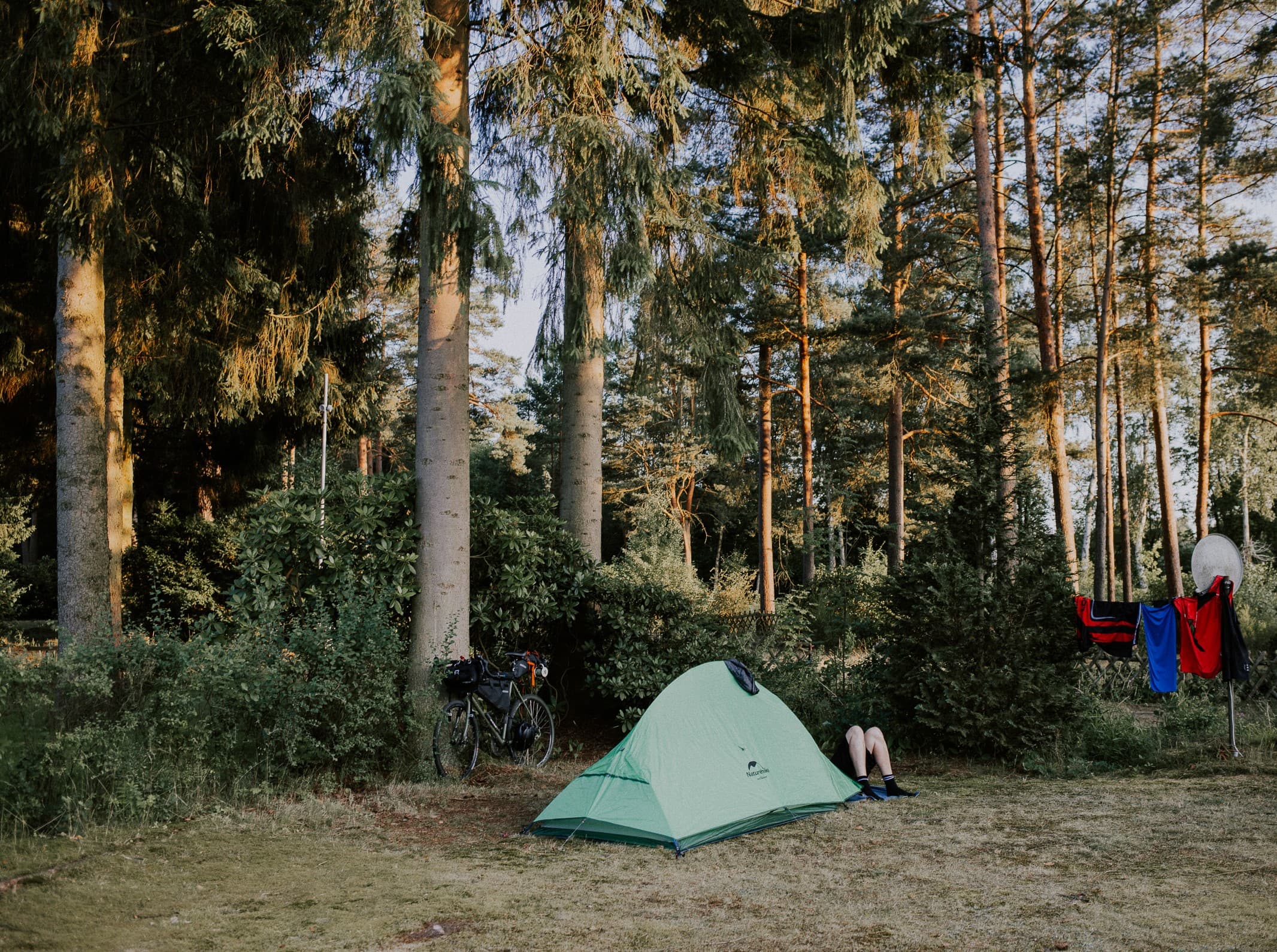 die autofreie zeltwiese auf dem wildwood campingplatz lüneburger heide