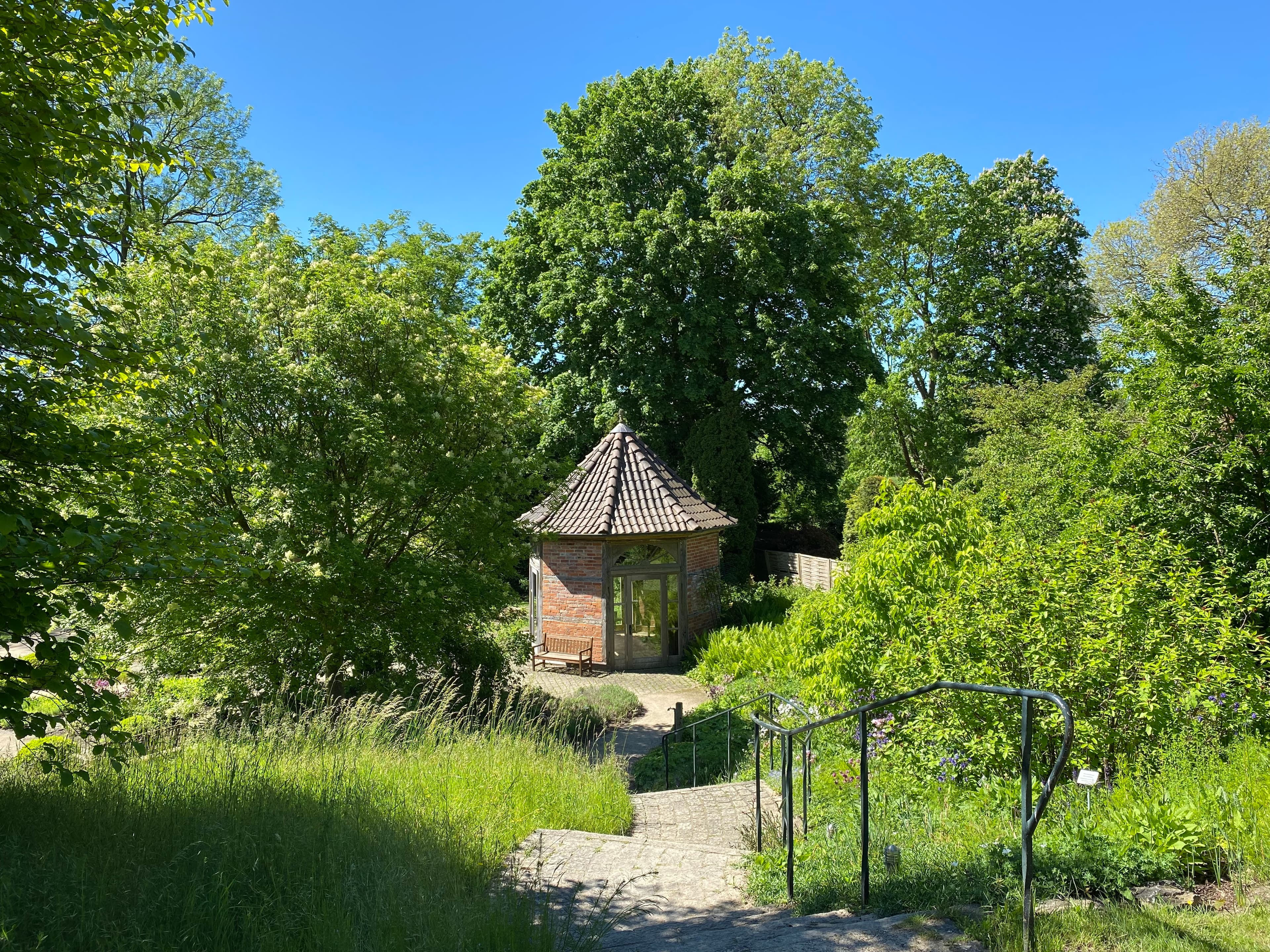 mitten im Heilpflanzengarten Celle steht ein Pavillon