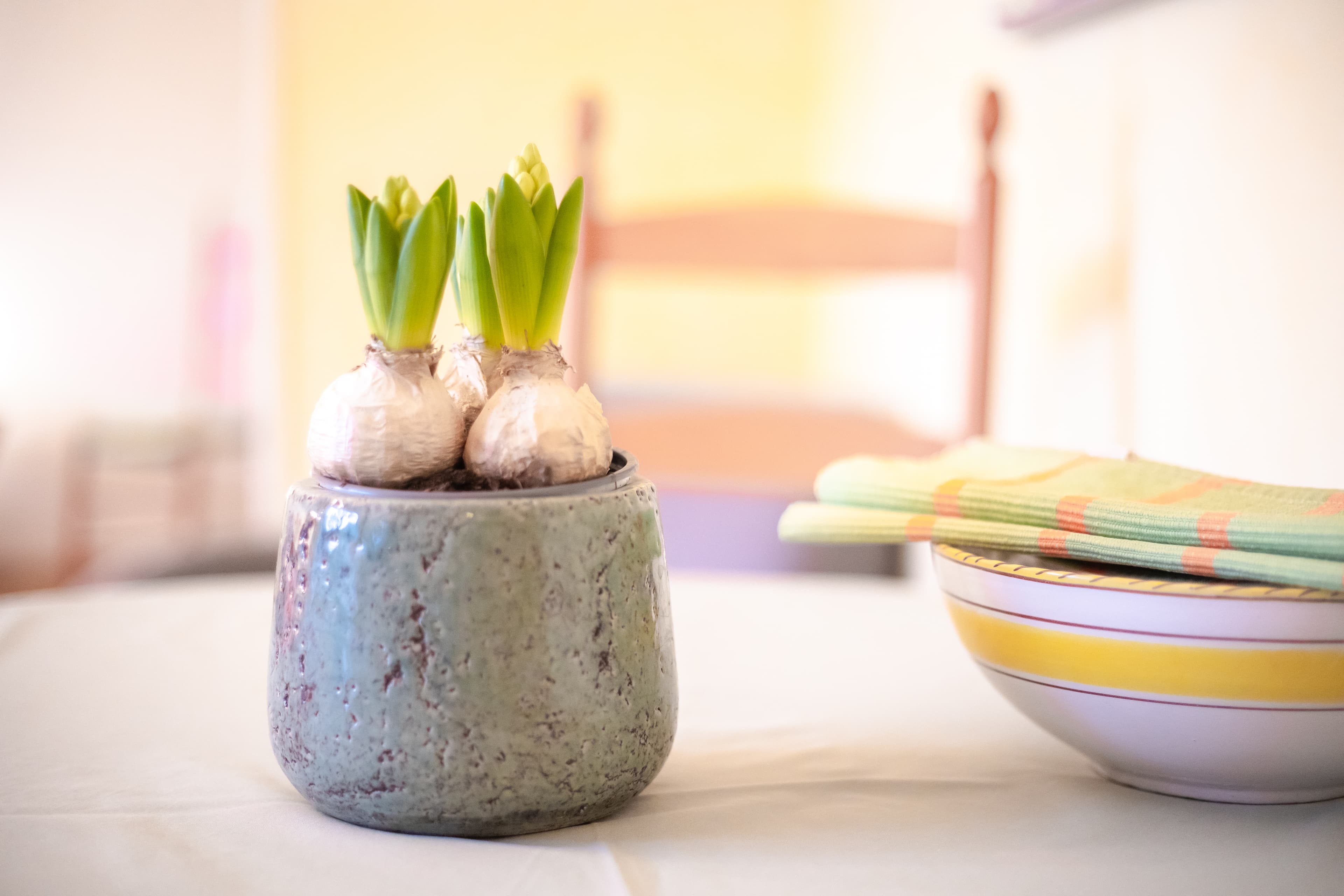 Dekoration Ferienwohnung Weihe